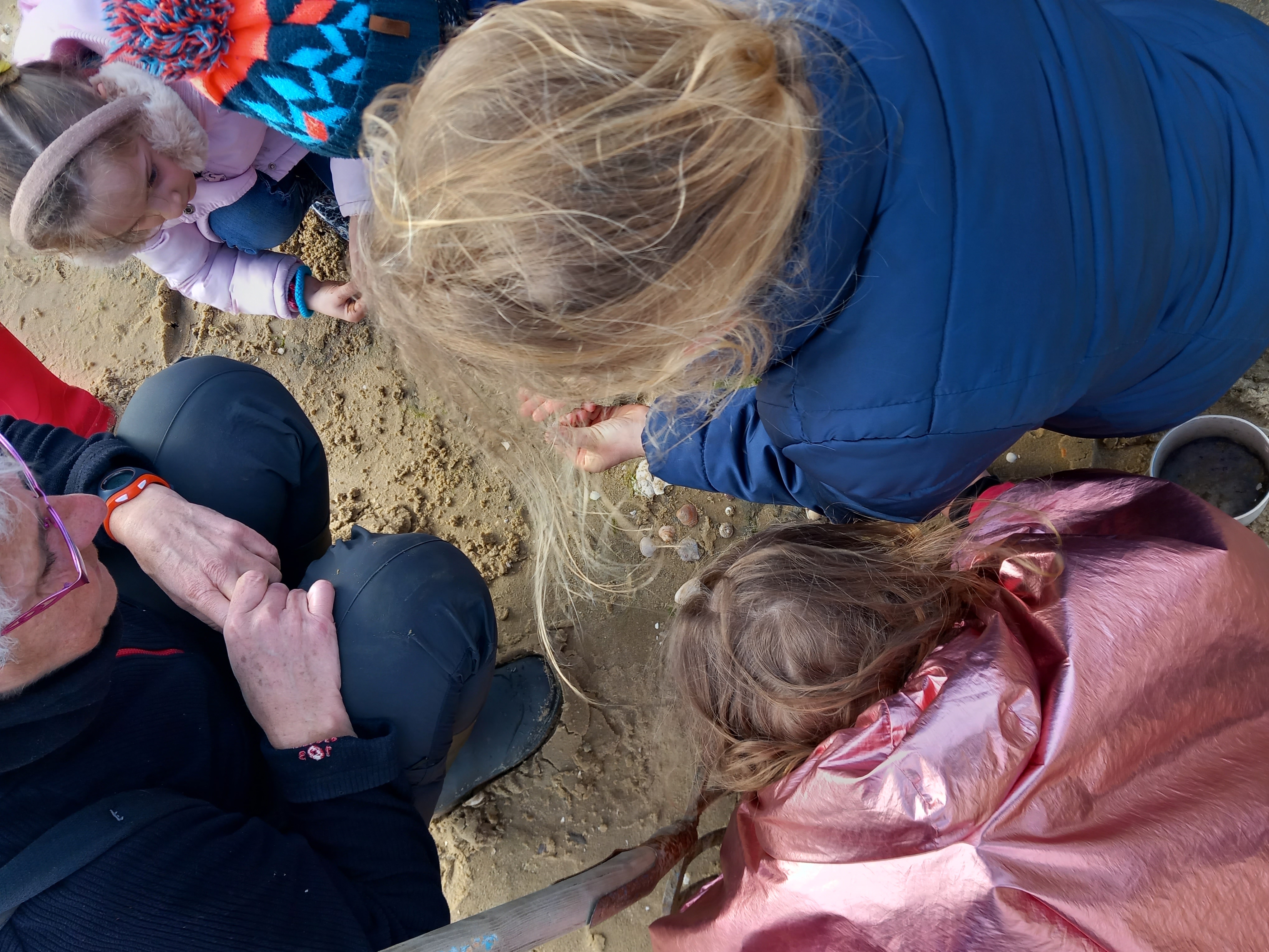 Observer les coquillages