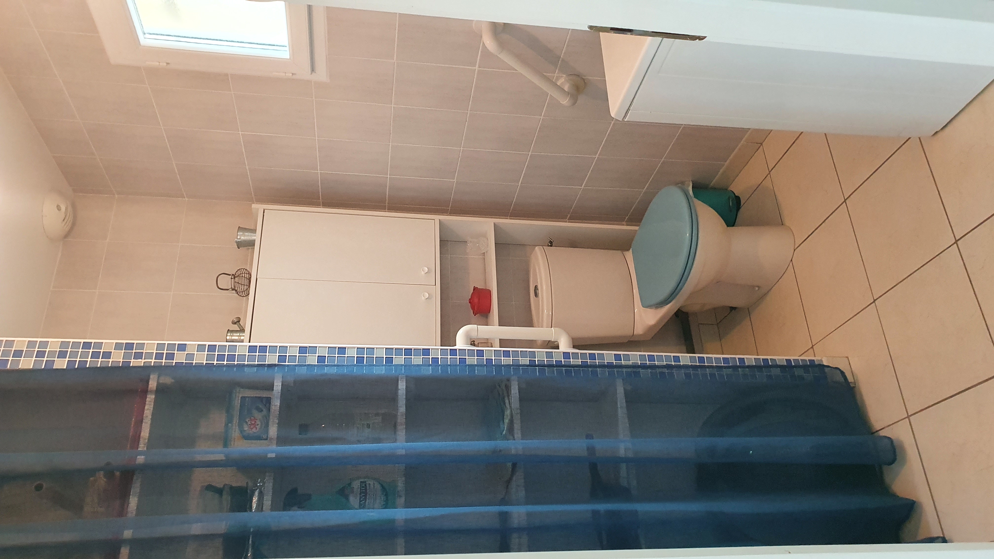 Logement Agapanthe, Saint-Georges-lès-Baillargeaux - photo 11