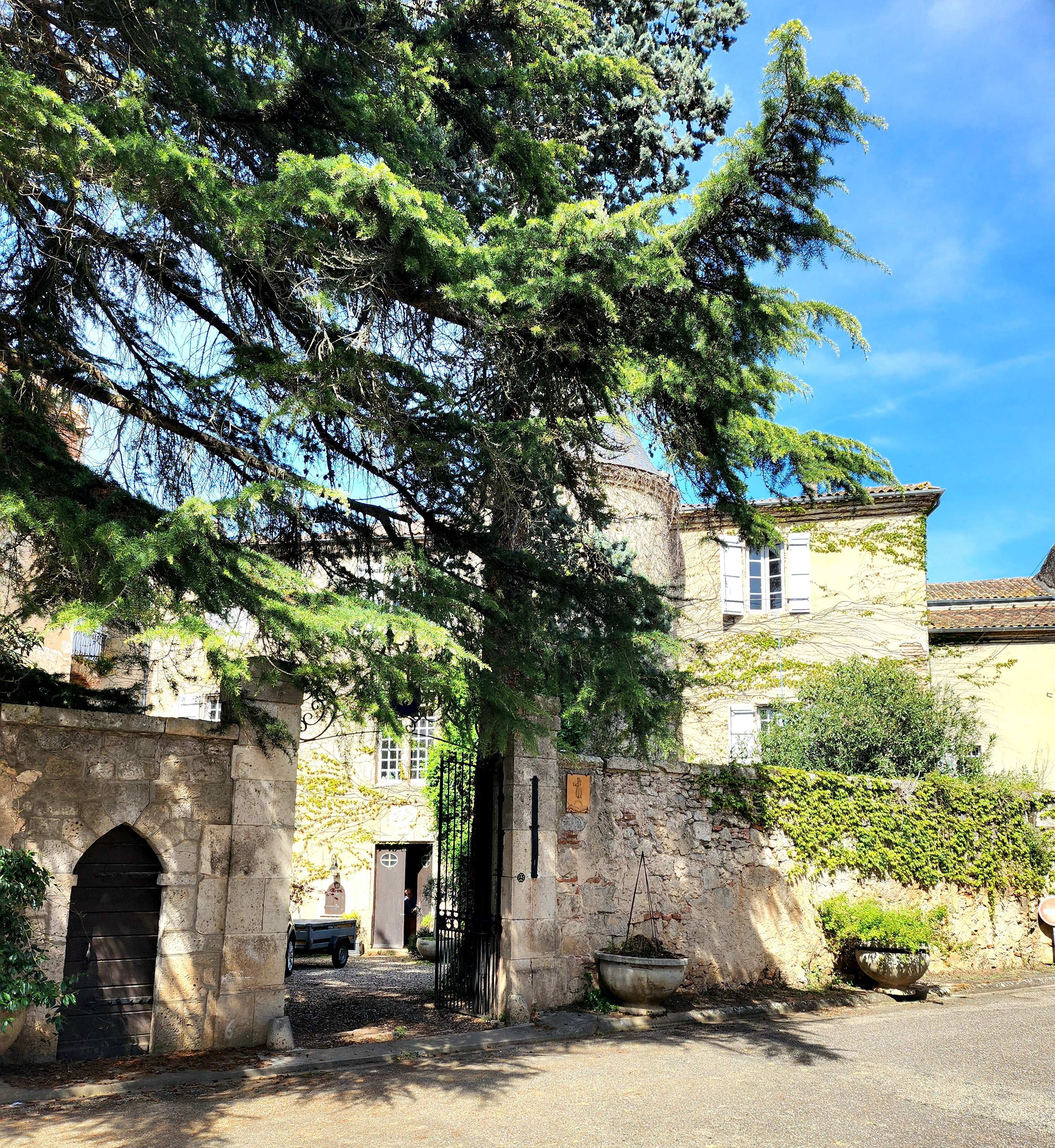 Circuit Tèrra Aventura : Angille sous roche au Confluent - photo 3
