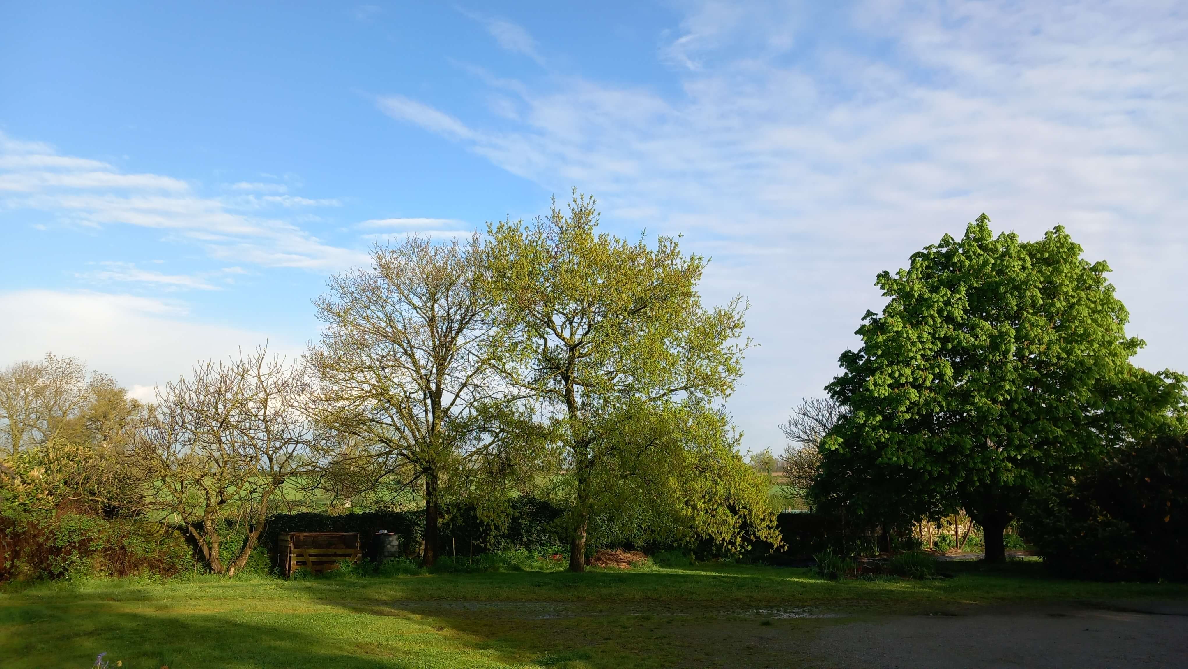 Chambres d'hôtes Les Grippeaux - les Tilleuls, Gourgé - photo 17