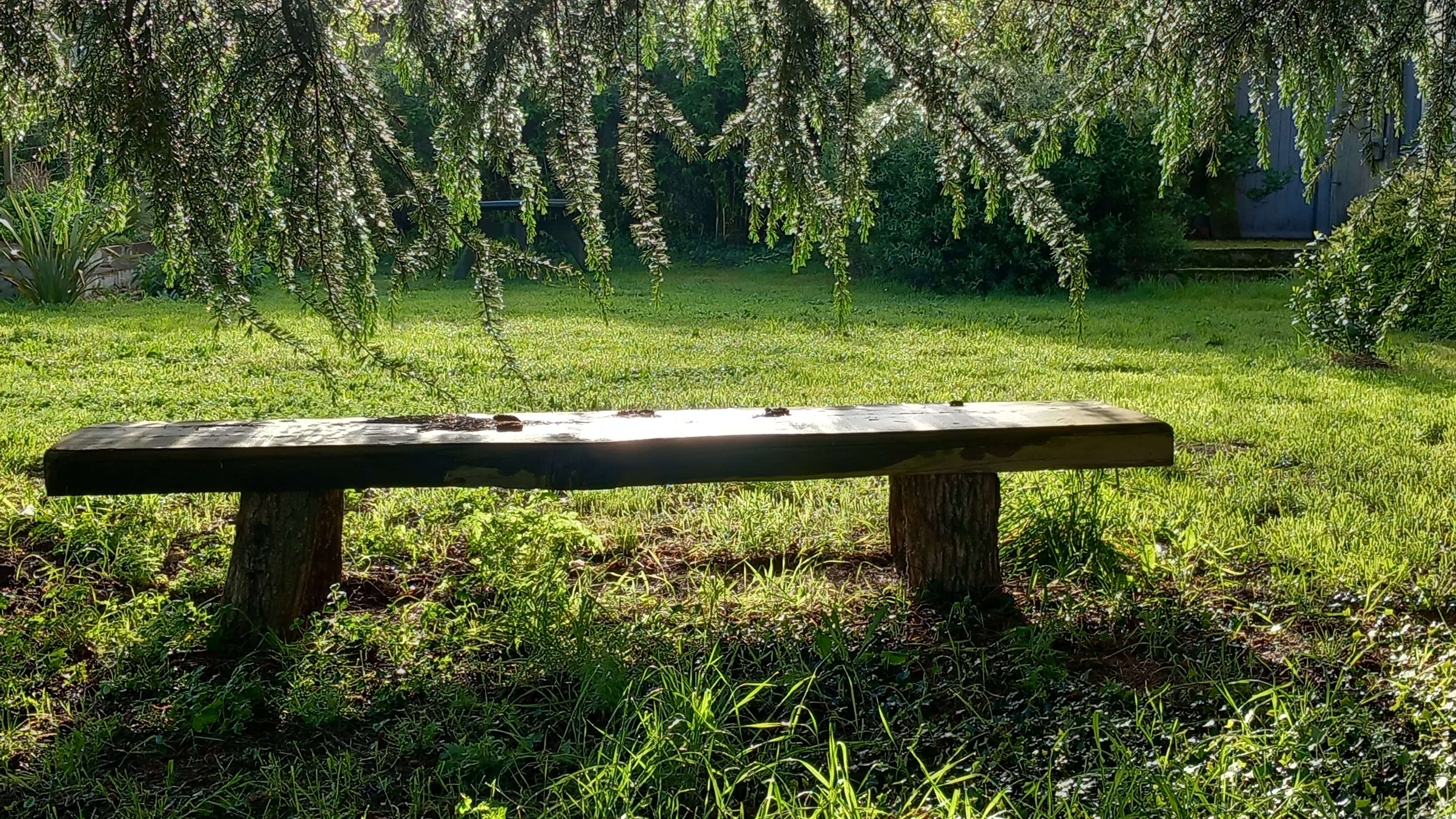 Chambres d'hôtes Les Grippeaux - les Tilleuls, Gourgé - photo 6