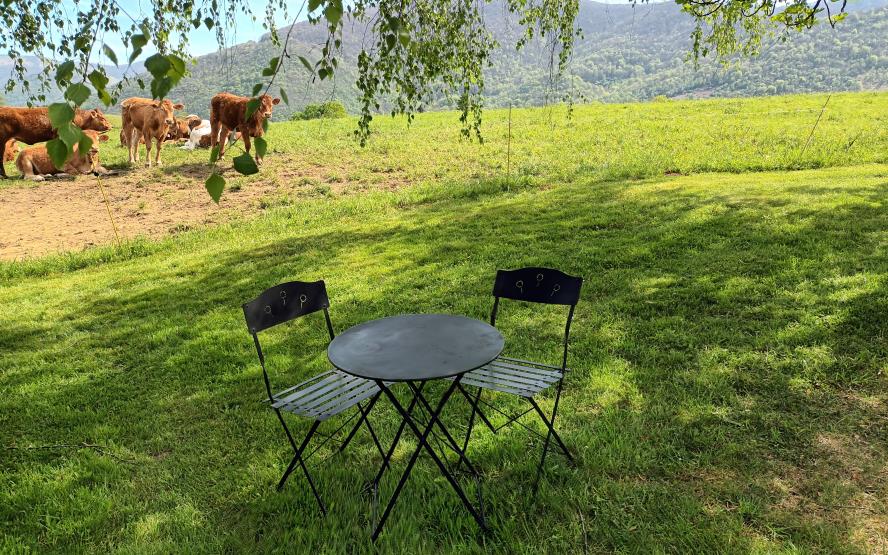 Image de présentation du lieu