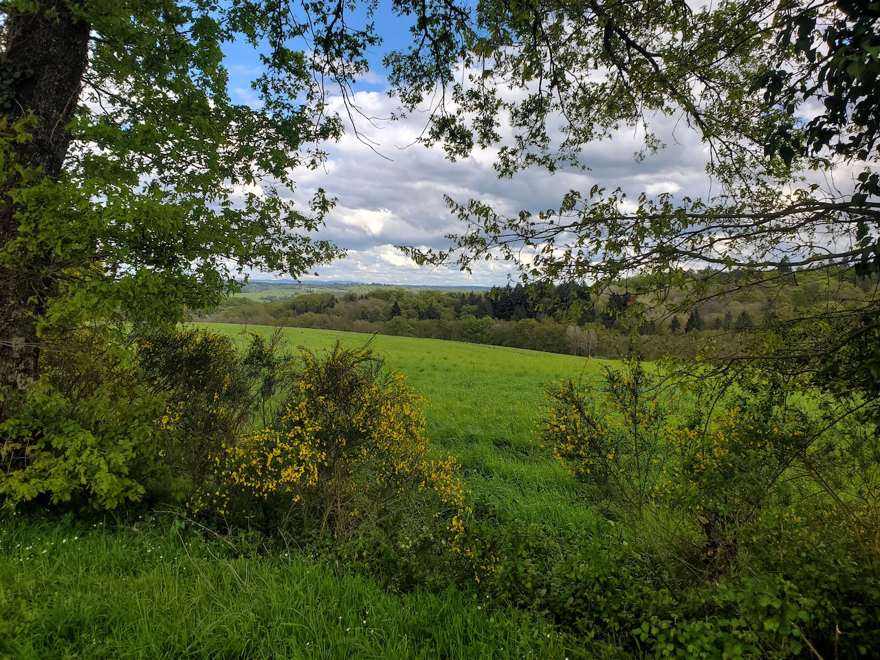 De l'abbatiale aux chateaux, Solignac - photo 3