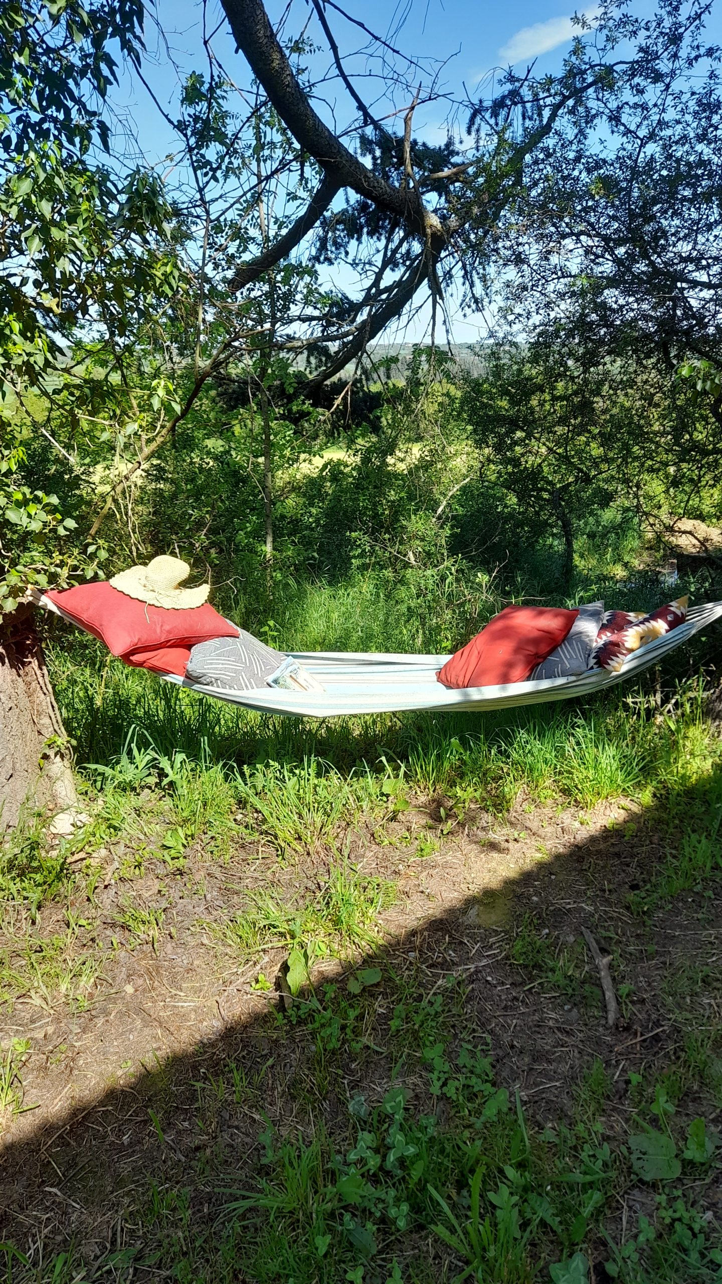 Roulotte Entre Ciel et Terre, Charron - photo 4