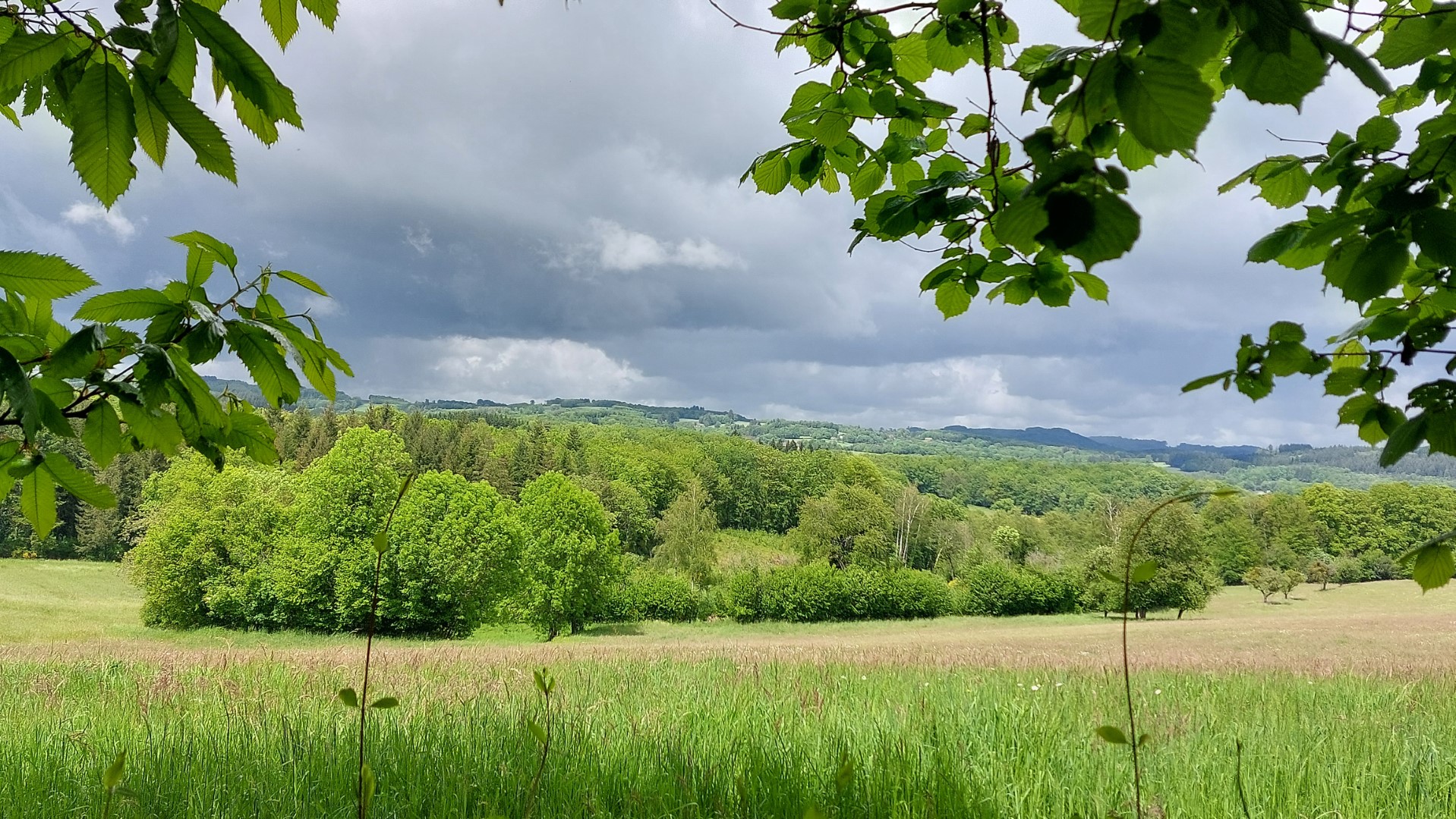 Circuit pédrestre N°70 : Le Mont La Chaize, Thauron - photo 3