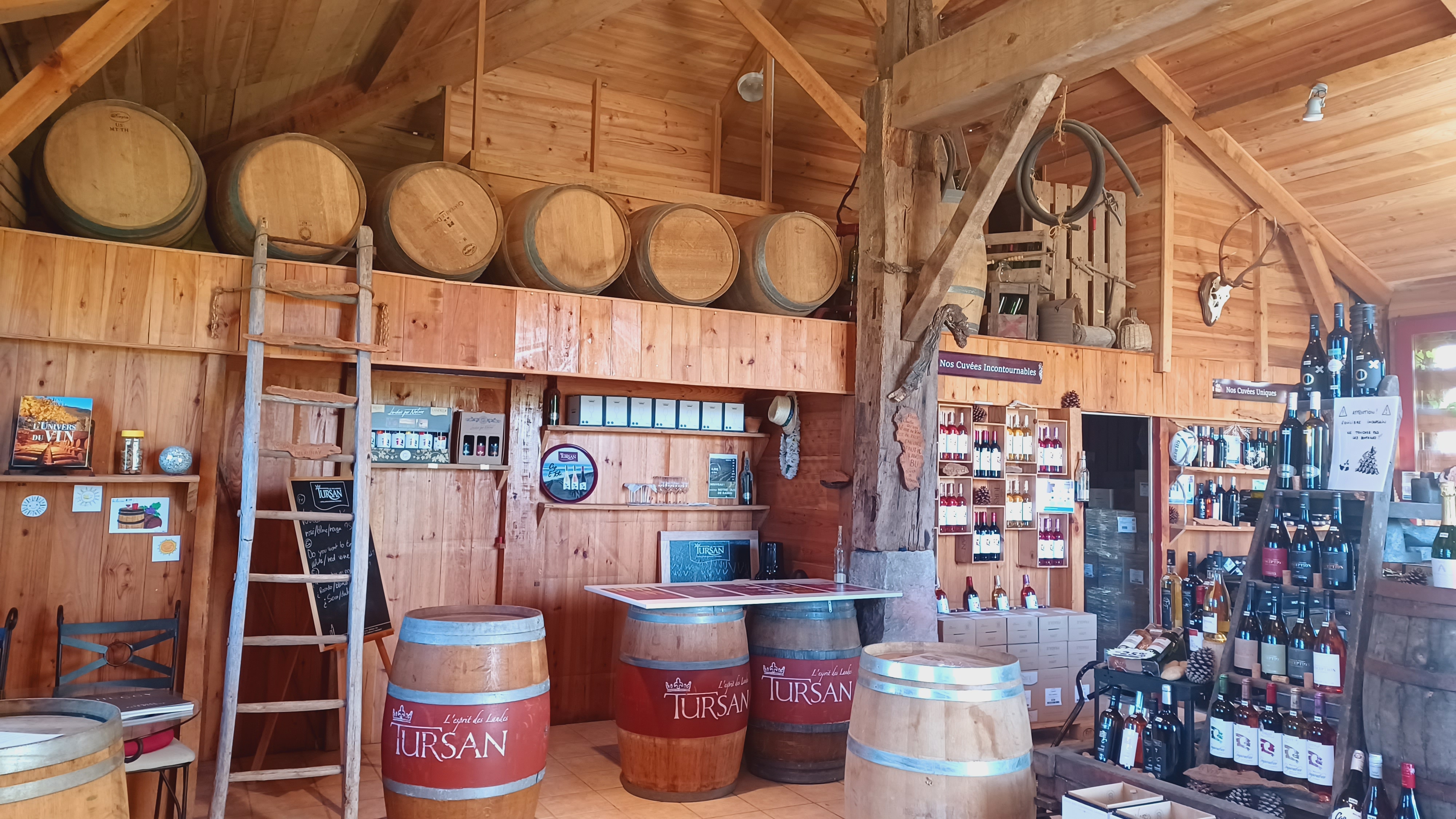 Découverte des vins landais