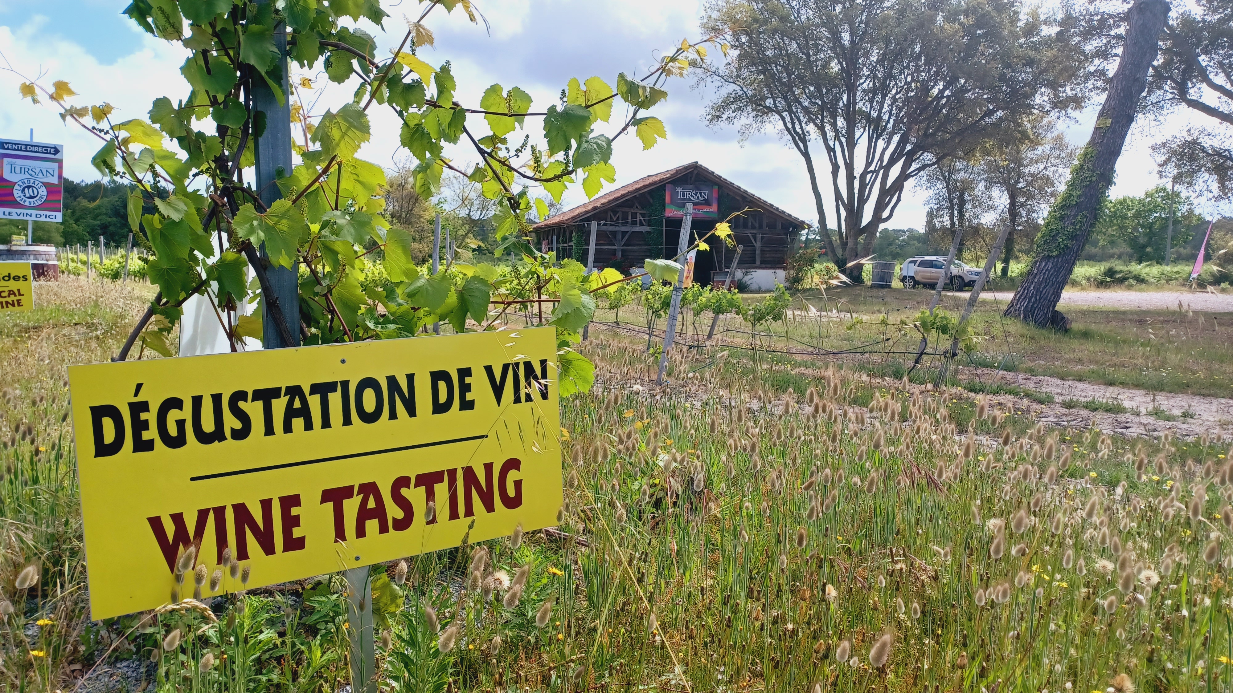 Découverte des vins landais