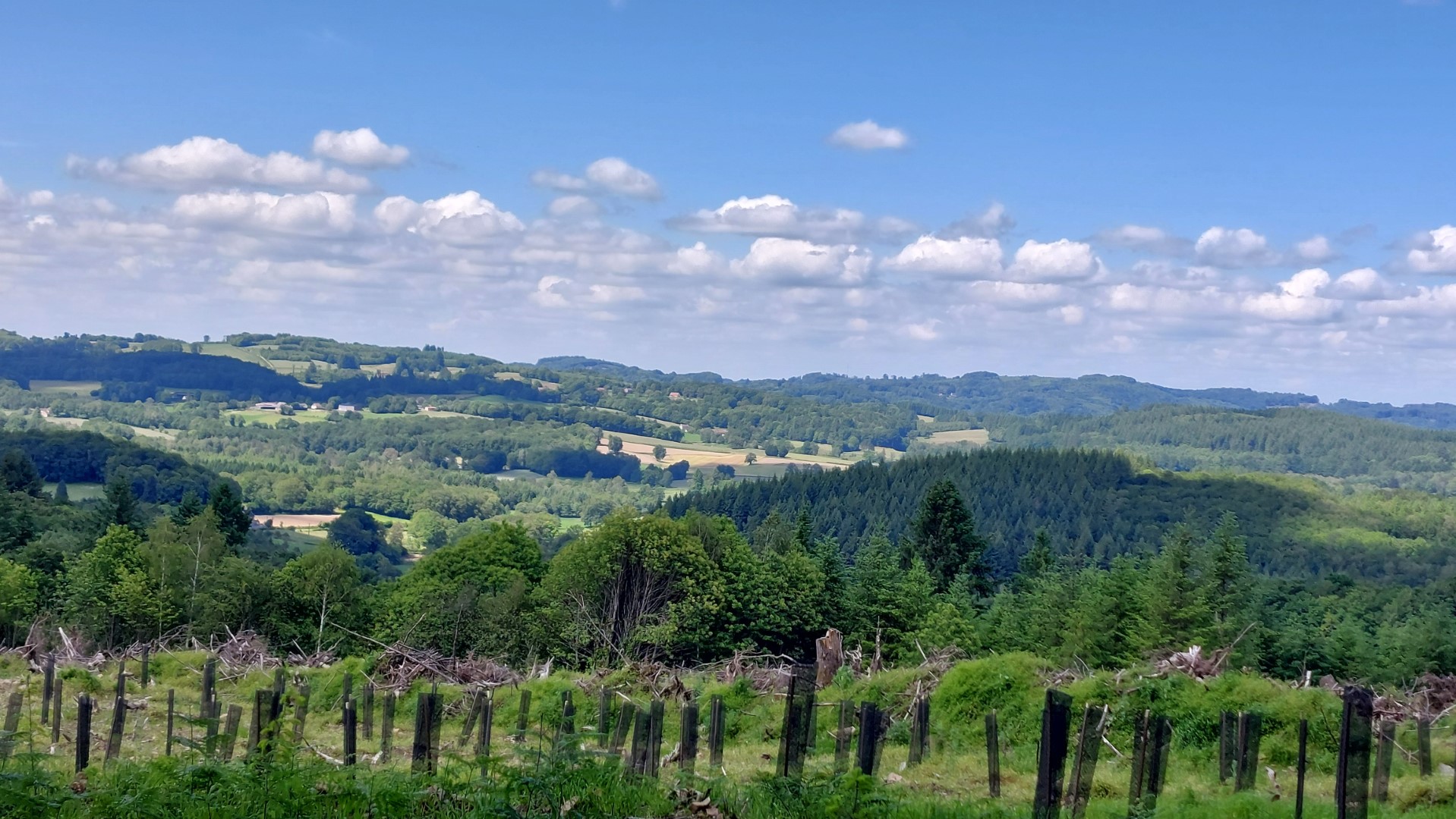 Circuit pédrestre N°70 : Le Mont La Chaize, Thauron - photo 2