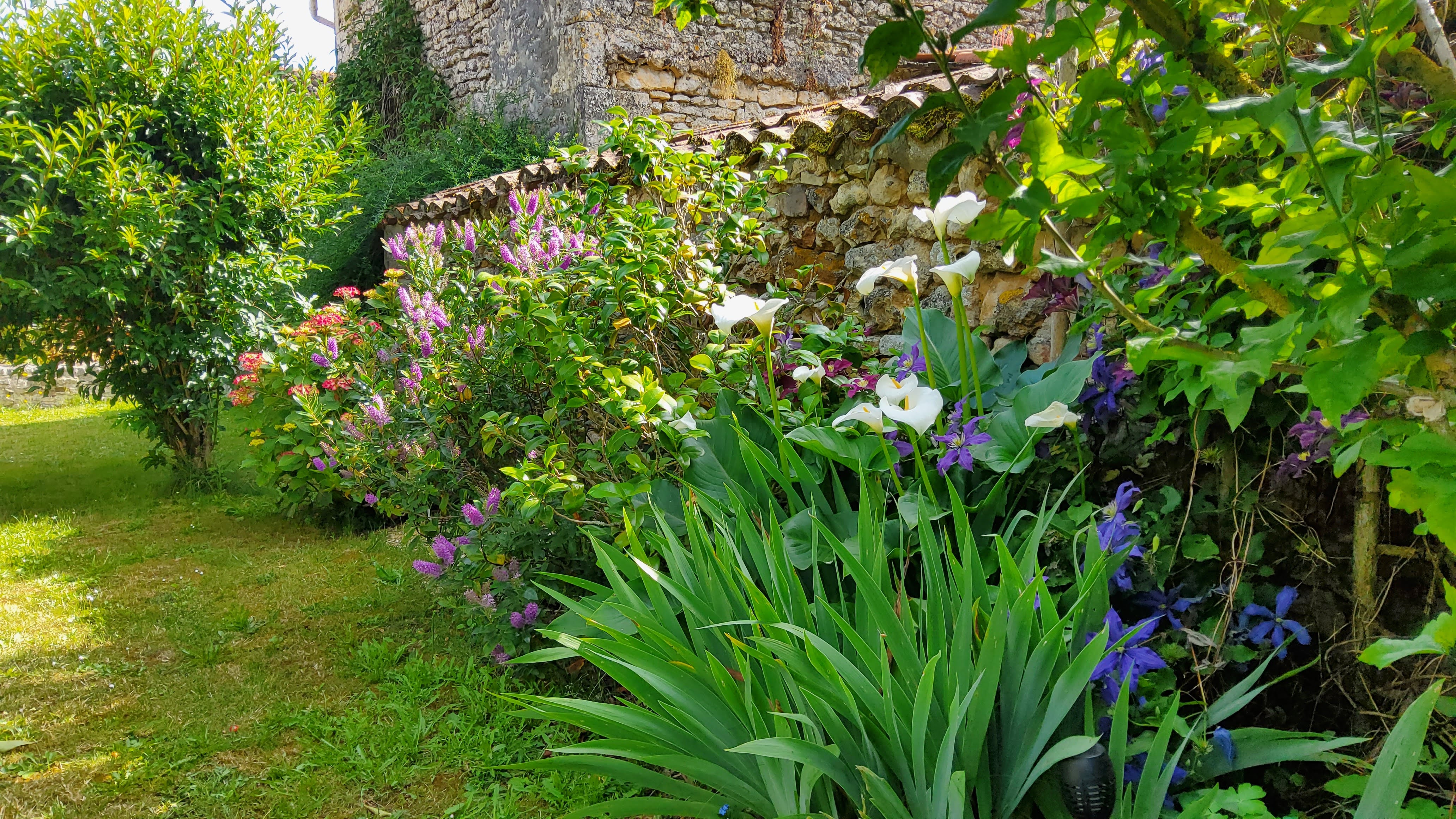 Le Logis du Four - Chambre Marais Poitevin, Soudan - photo 8