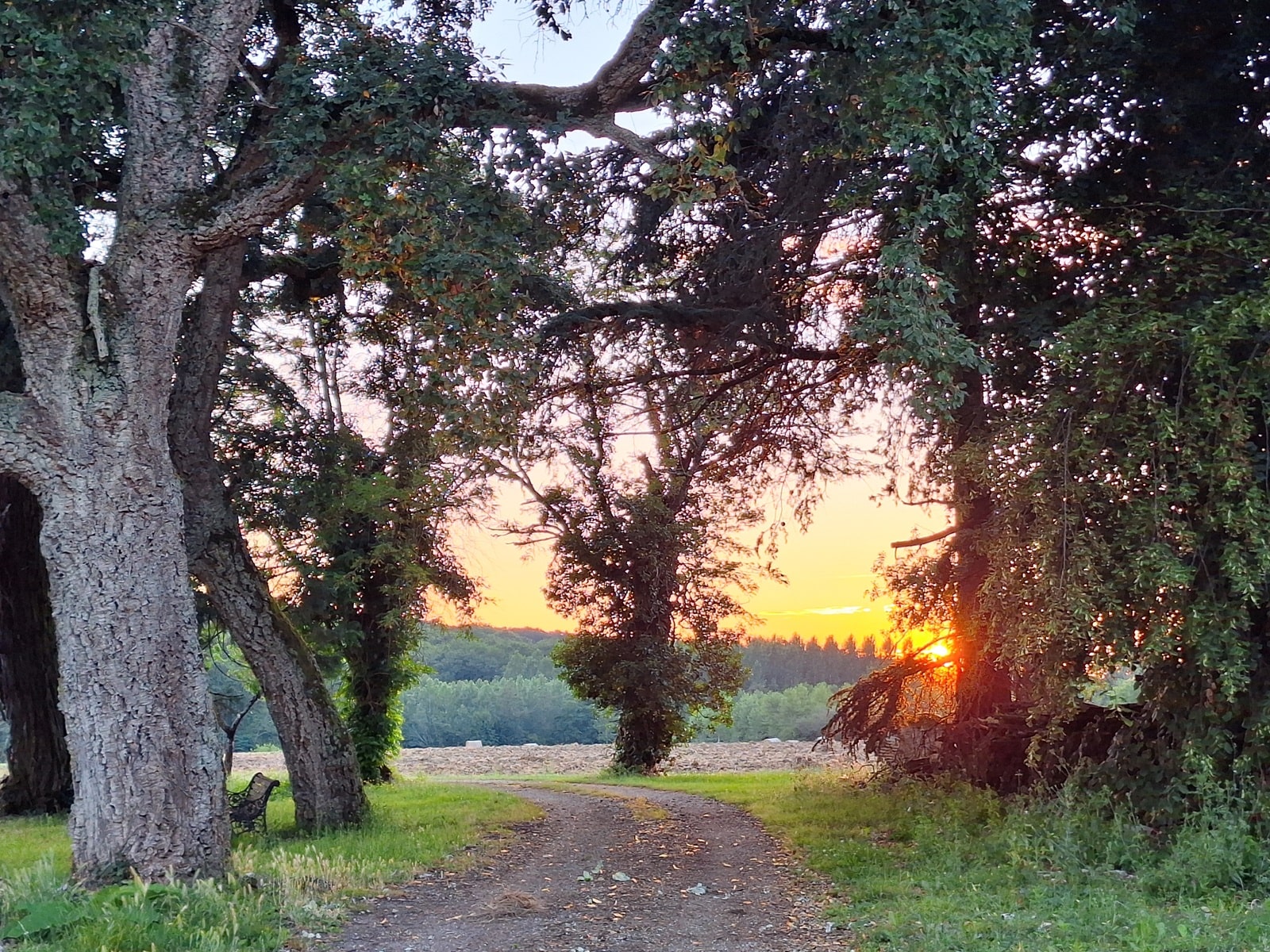 Gîte Papé - Saint-Léger, Sauveterre-de-Guyenne - photo 6