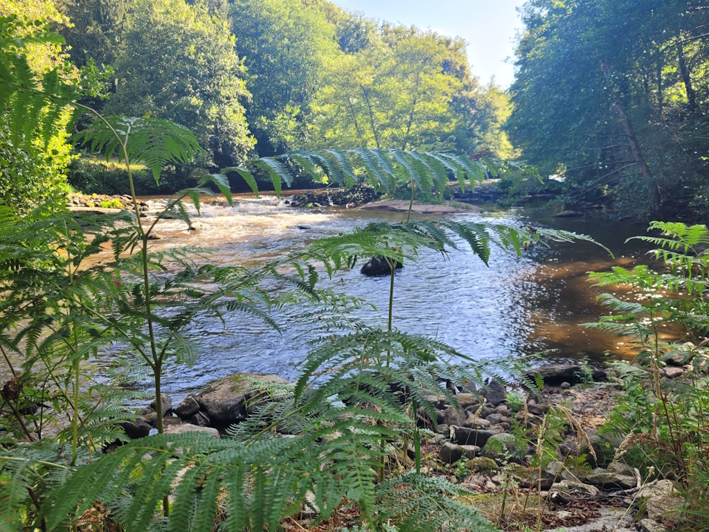 Balade bien-être au fil de l'eau - Juin