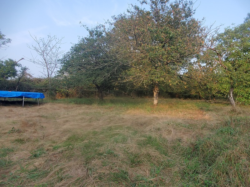 Maison de campagne, Les Grands-Chézeaux - photo 11