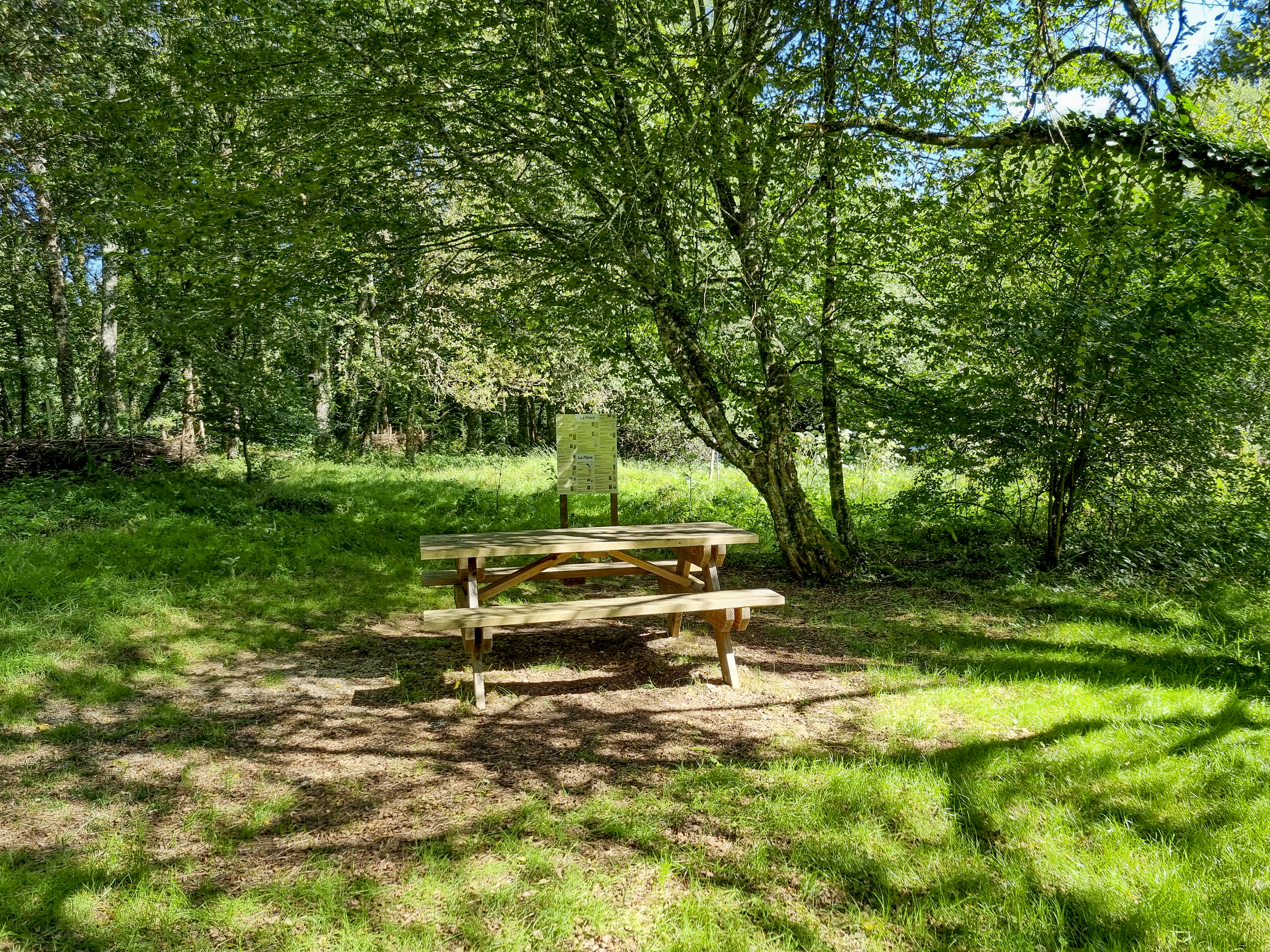 Table de pique nique