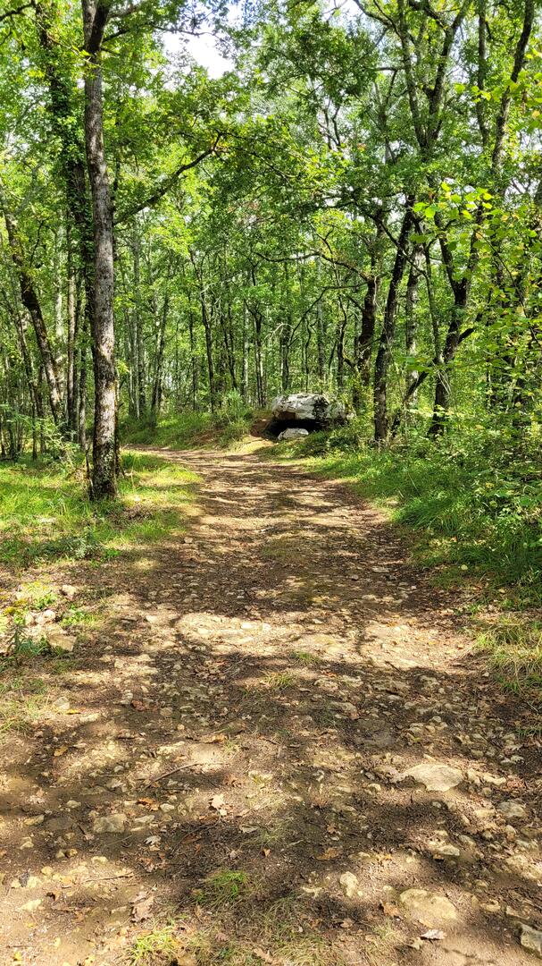 Boucle du Dolmen n°1/Saint-Chamassy, Saint-Chamassy - photo 3