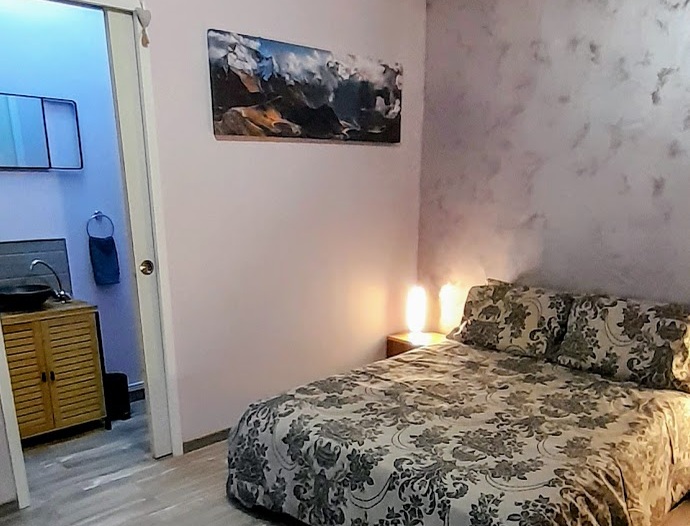 Nedleys Chardonnay, Val-d'Oire-et-Gartempe - photo 4