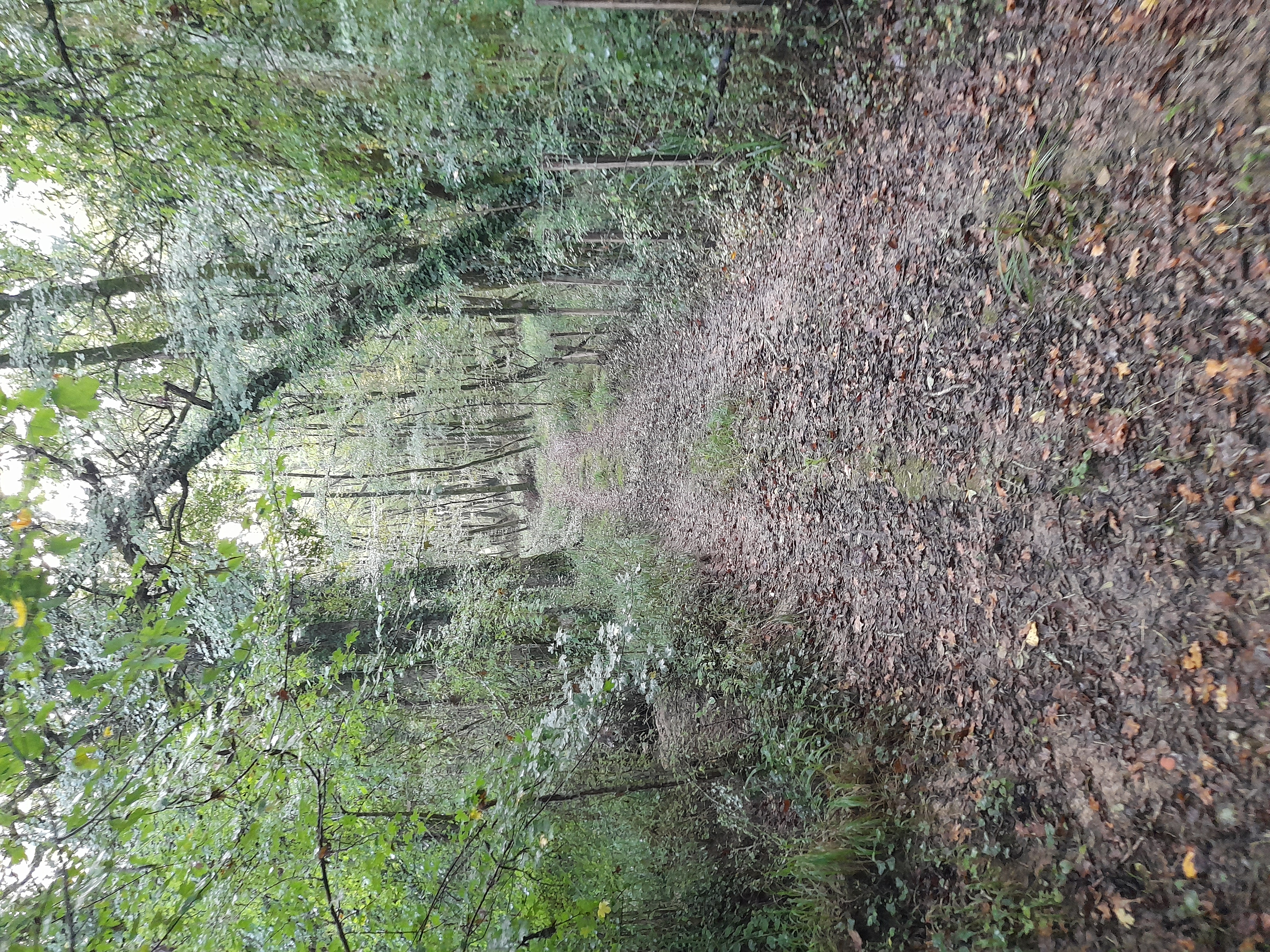 Boucle des Templiers, Galgon - photo 5