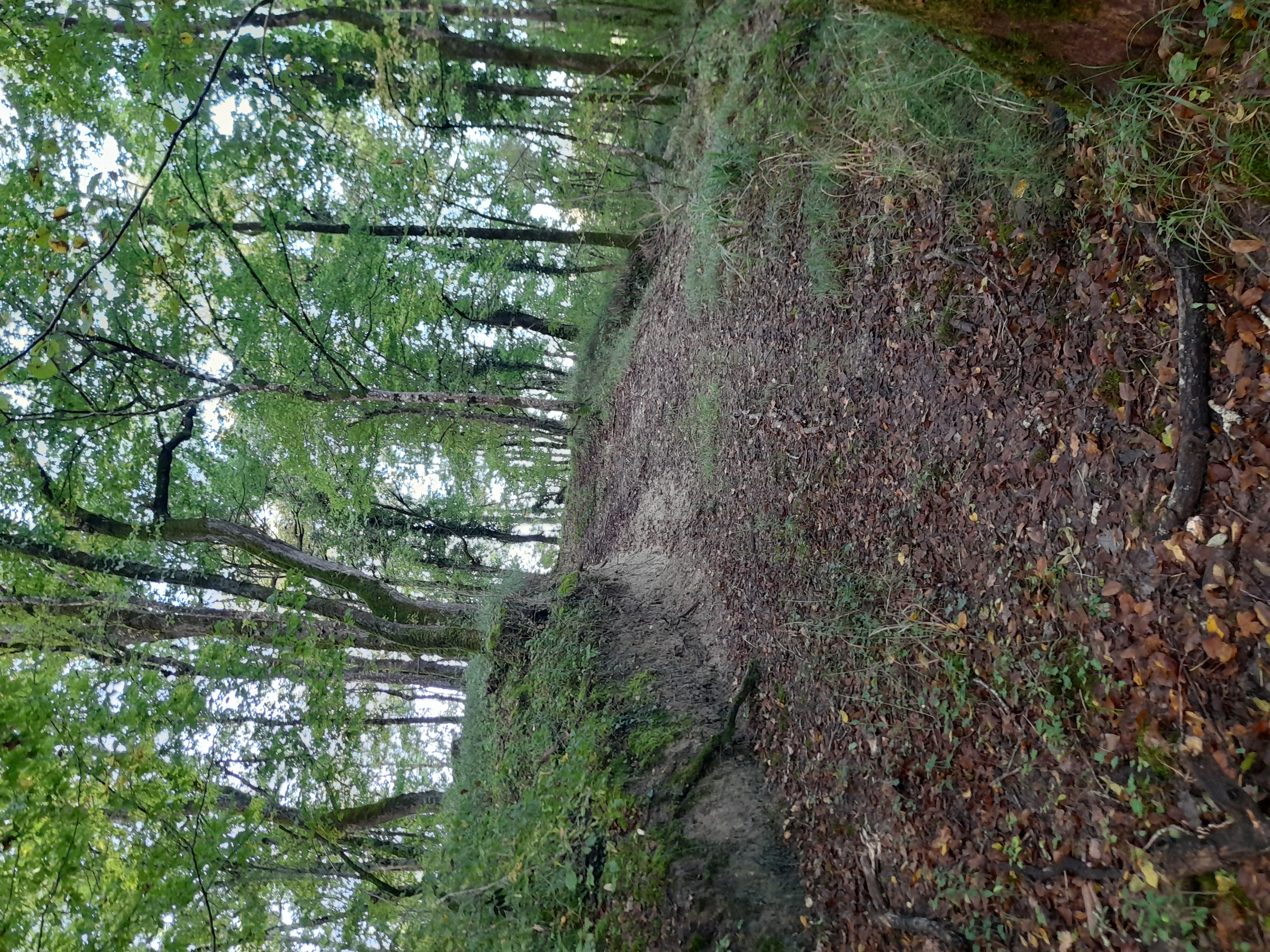 Boucle des Templiers, Galgon - photo 3