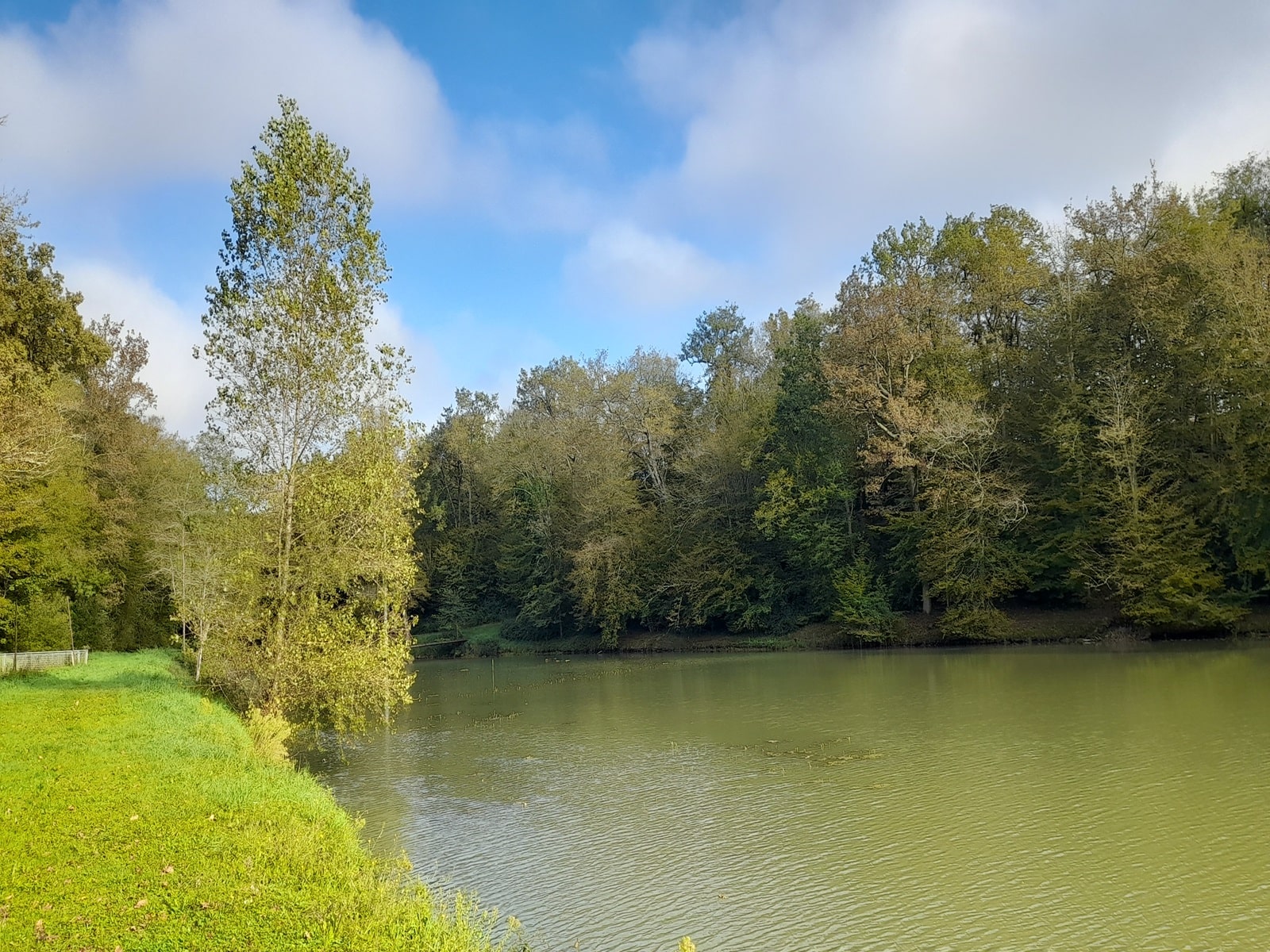 Etang de Caumont - photo 2