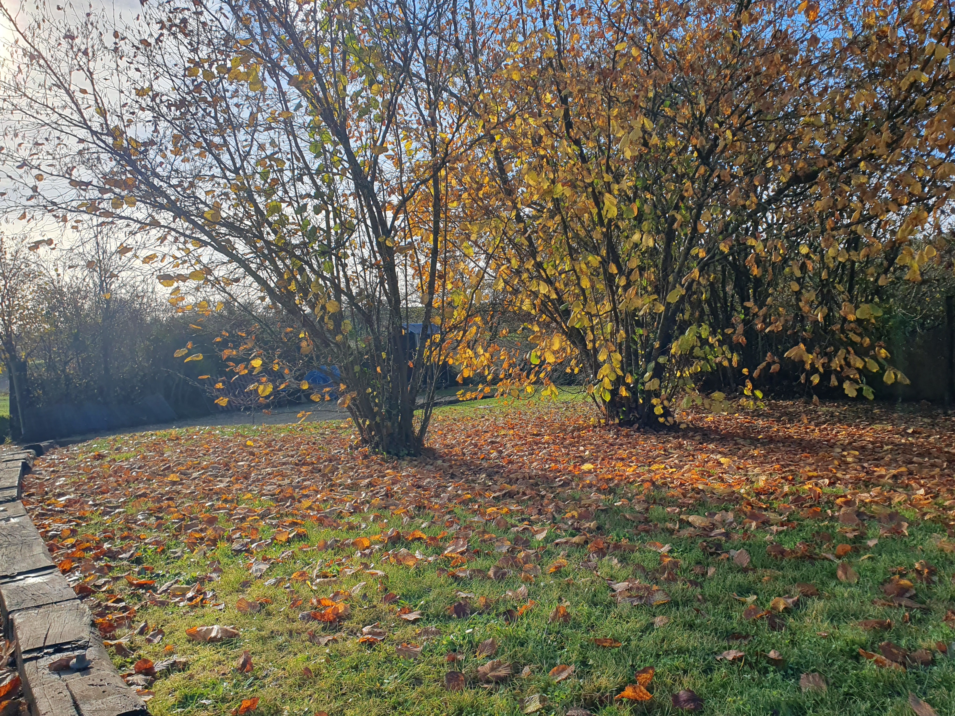Le Grenier, Beaumont Saint-Cyr - photo 11