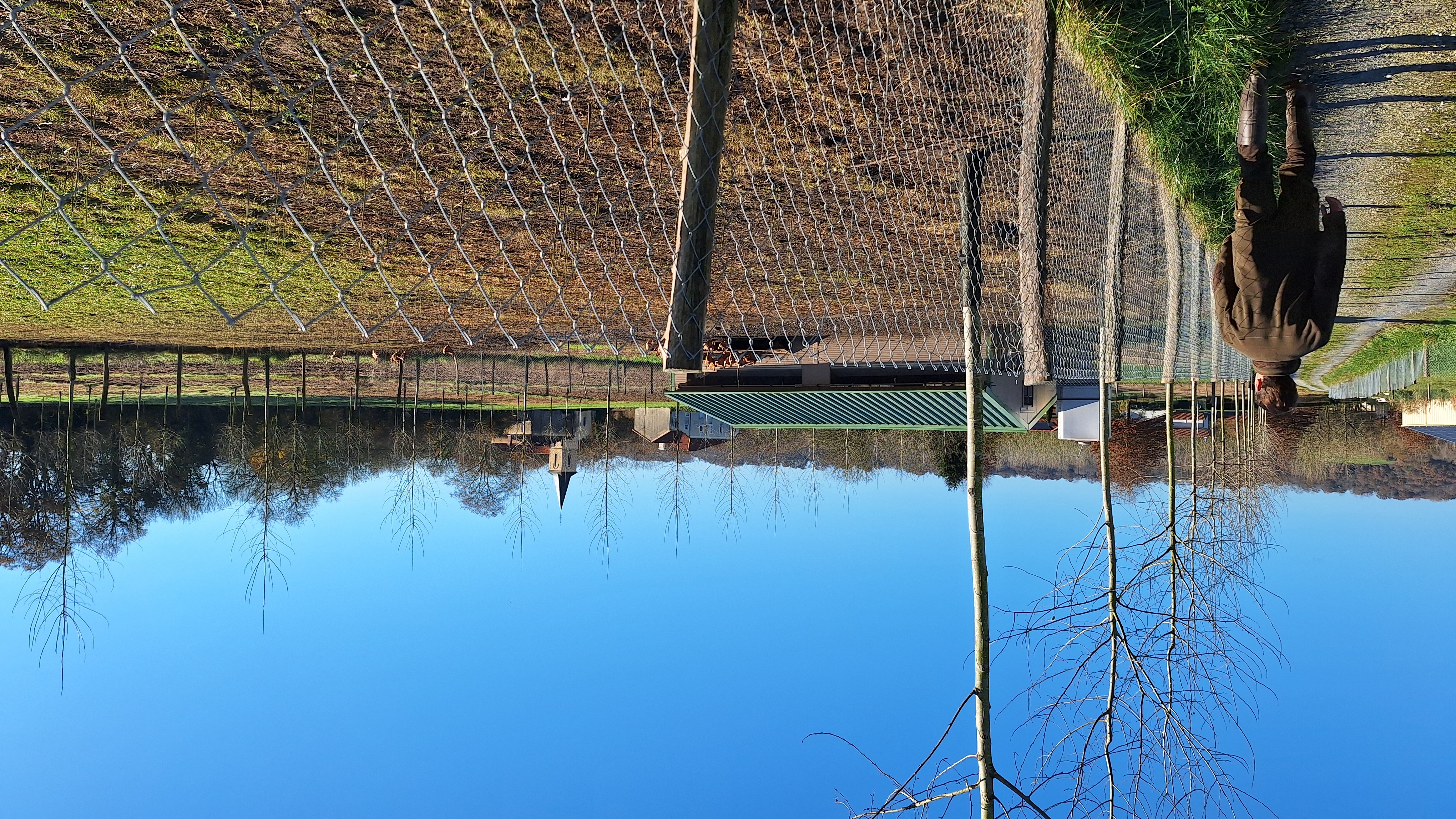 EARL BERNATMOULIE - photo 2