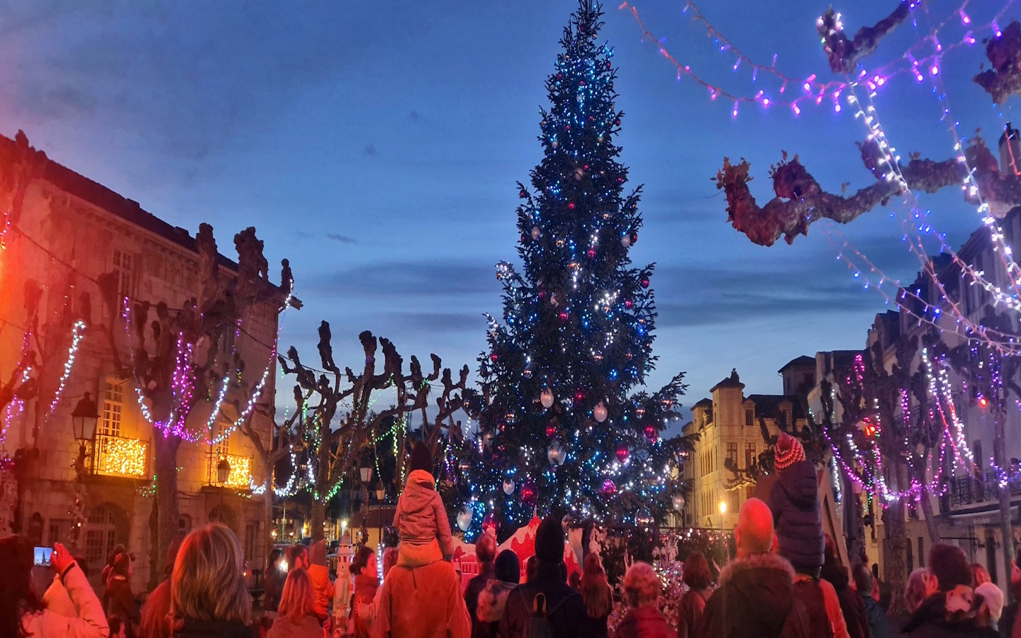 Le sapin féerique :“Un Noël gourmand et multicolore”