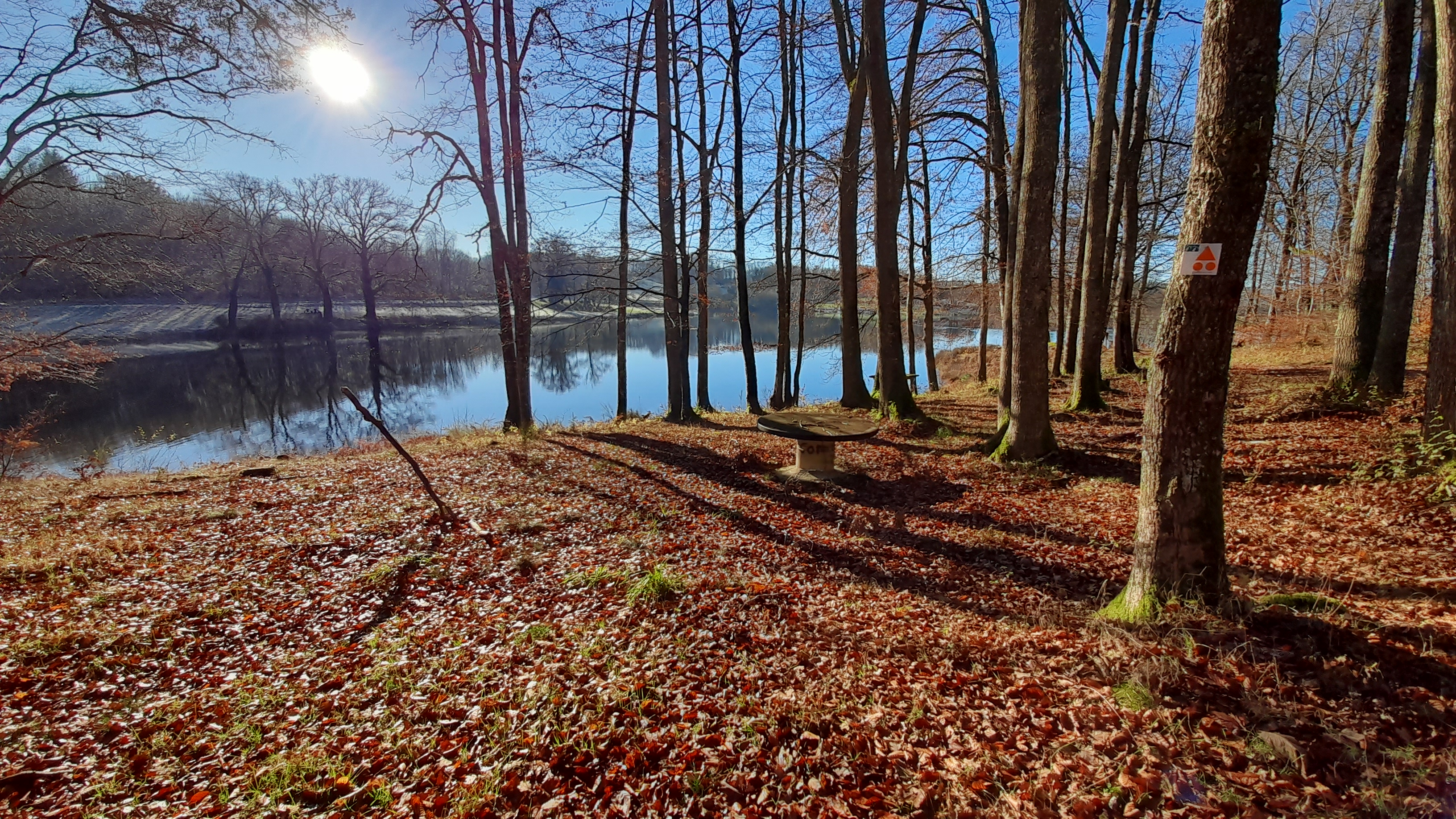 Randoguide Secret de Nature