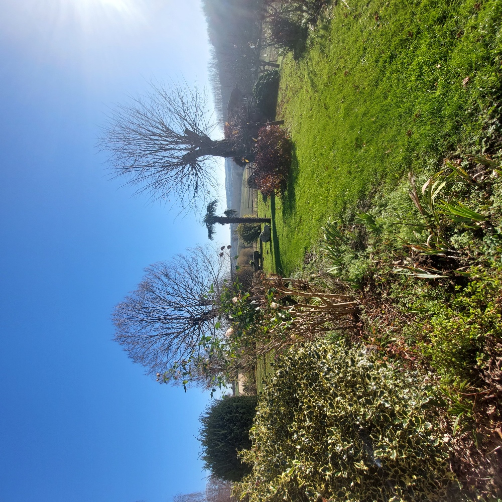 Meublé les Iris, Ruffiac