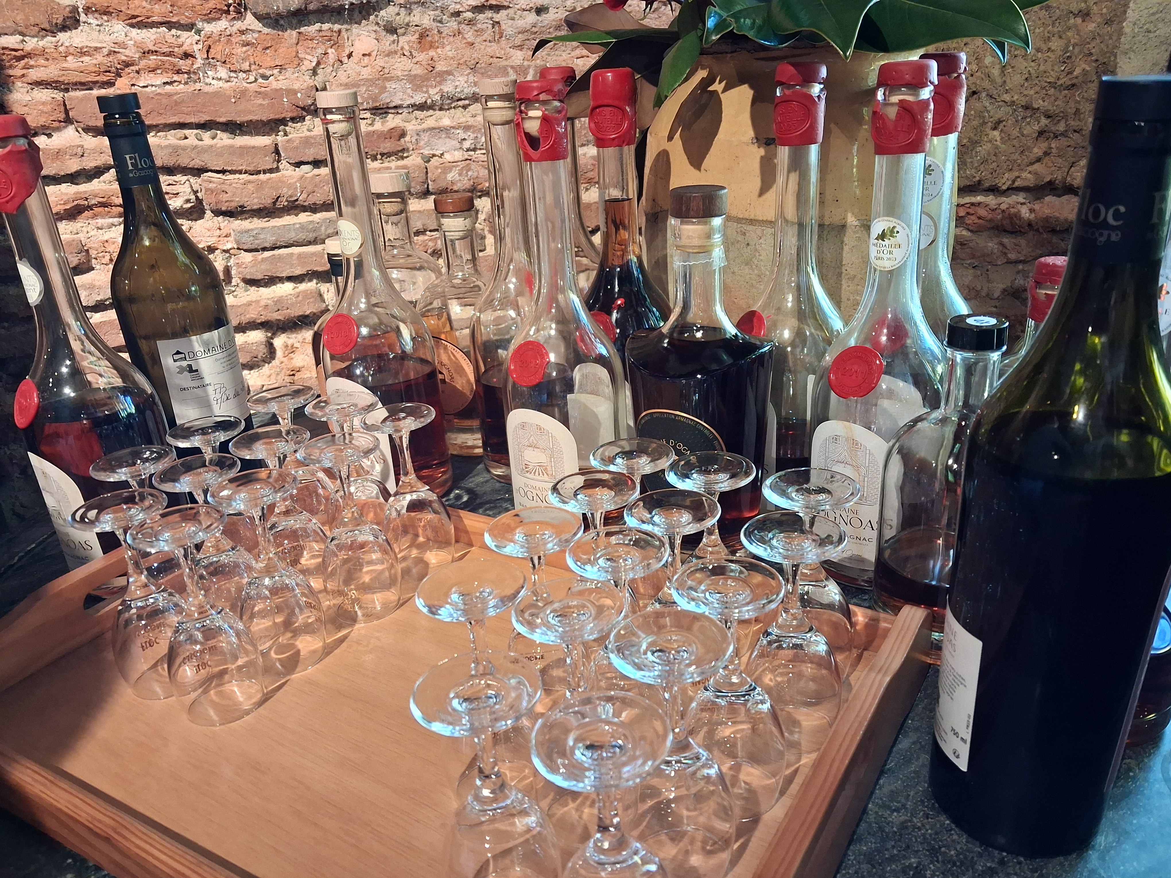 Domaine Départemental d'Ognoas — photo 2