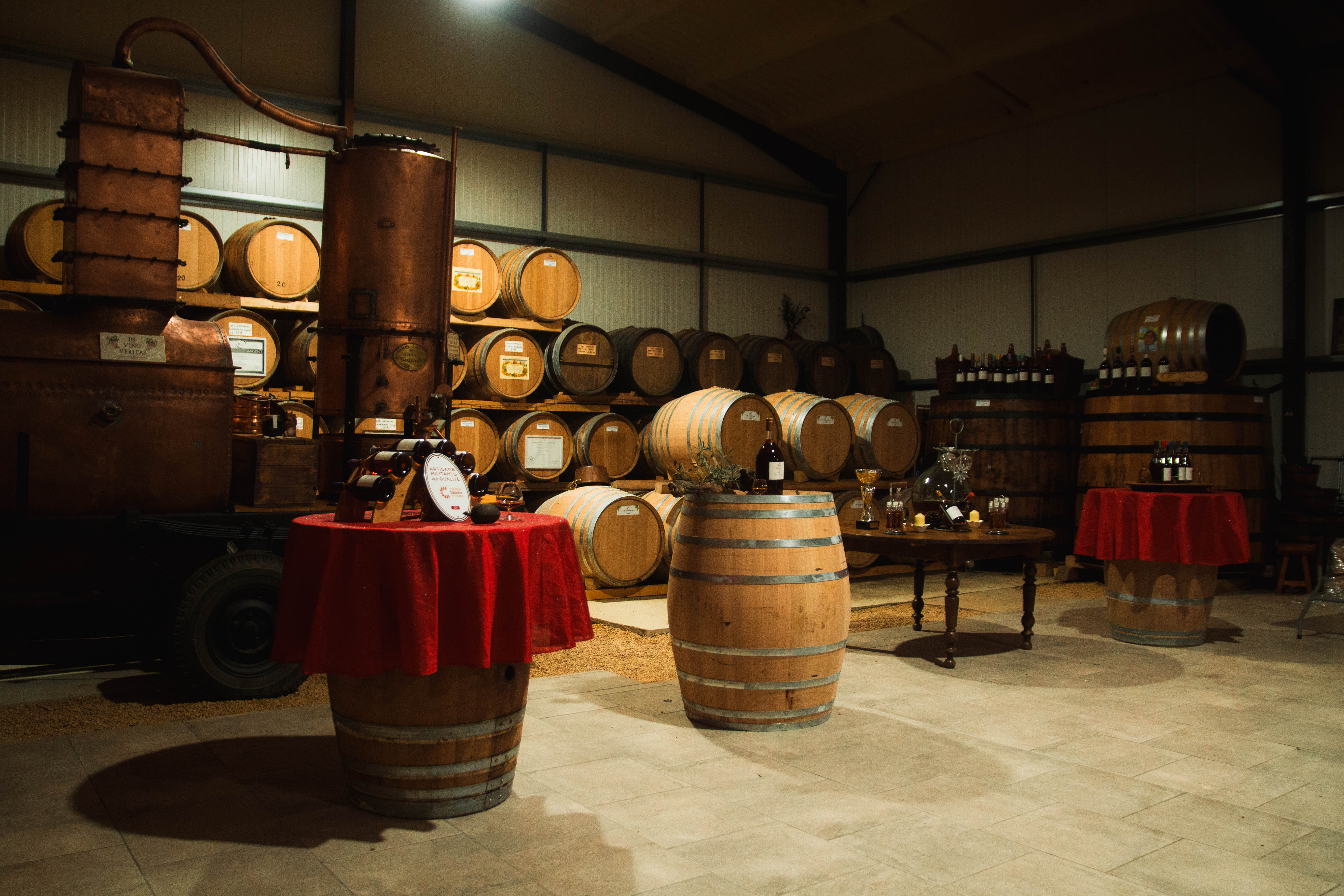 Camping-car d'hôtes au Domaine du Berdet - photo 5