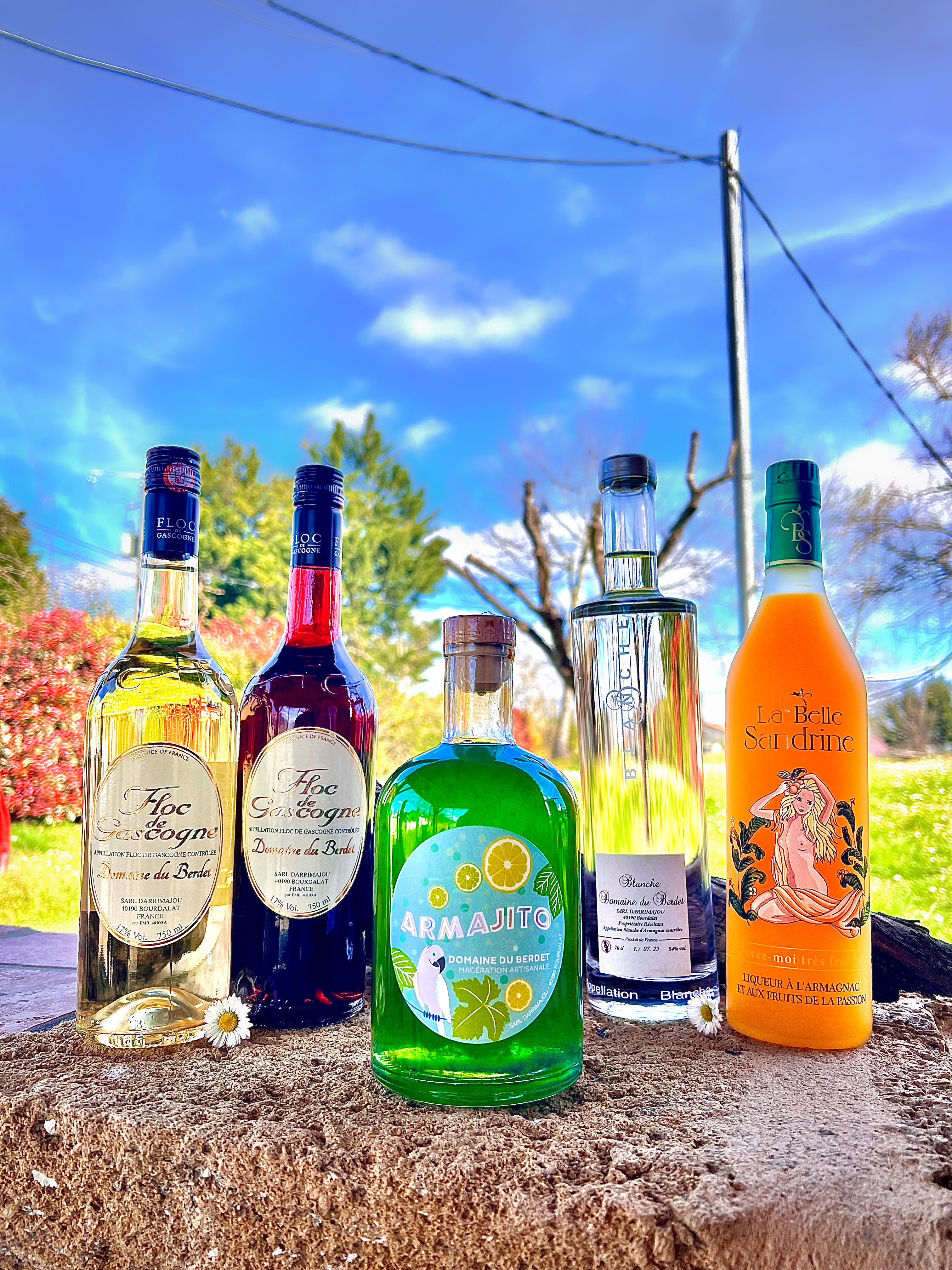 Camping-car d'hôtes au Domaine du Berdet - photo 2