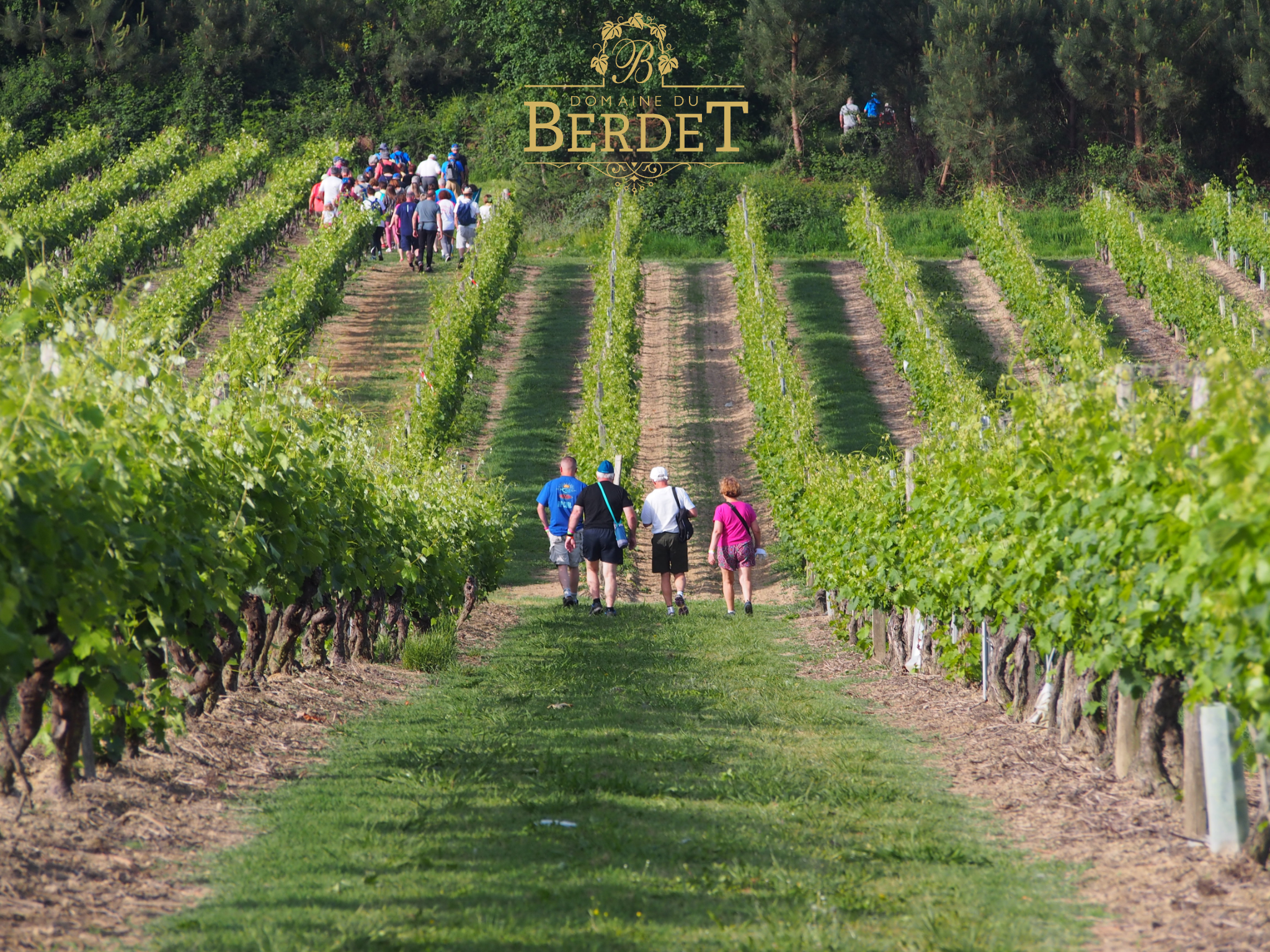 Camping-car d'hôtes au Domaine du Berdet - photo 4