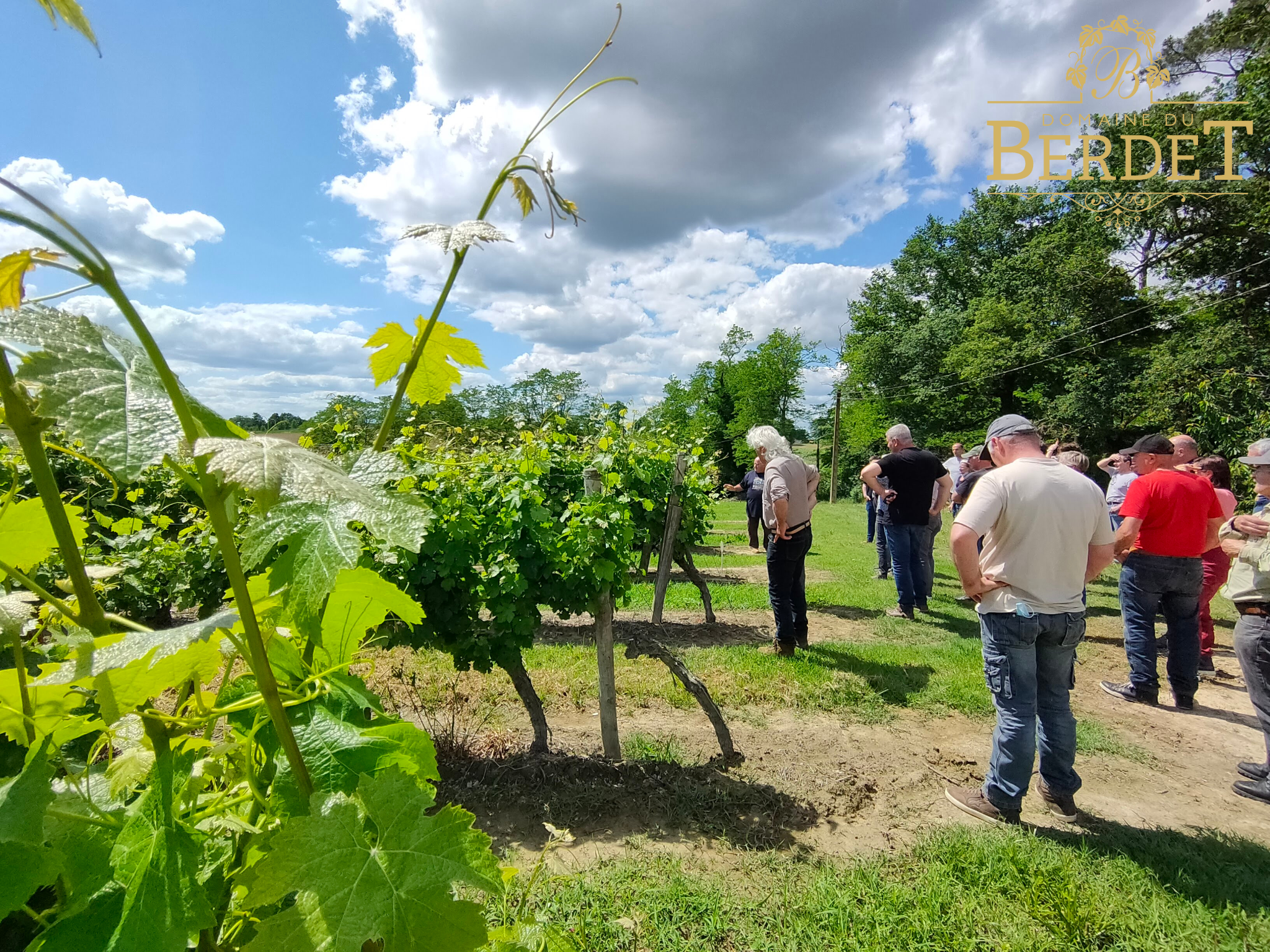 Camping-car d'hôtes au Domaine du Berdet