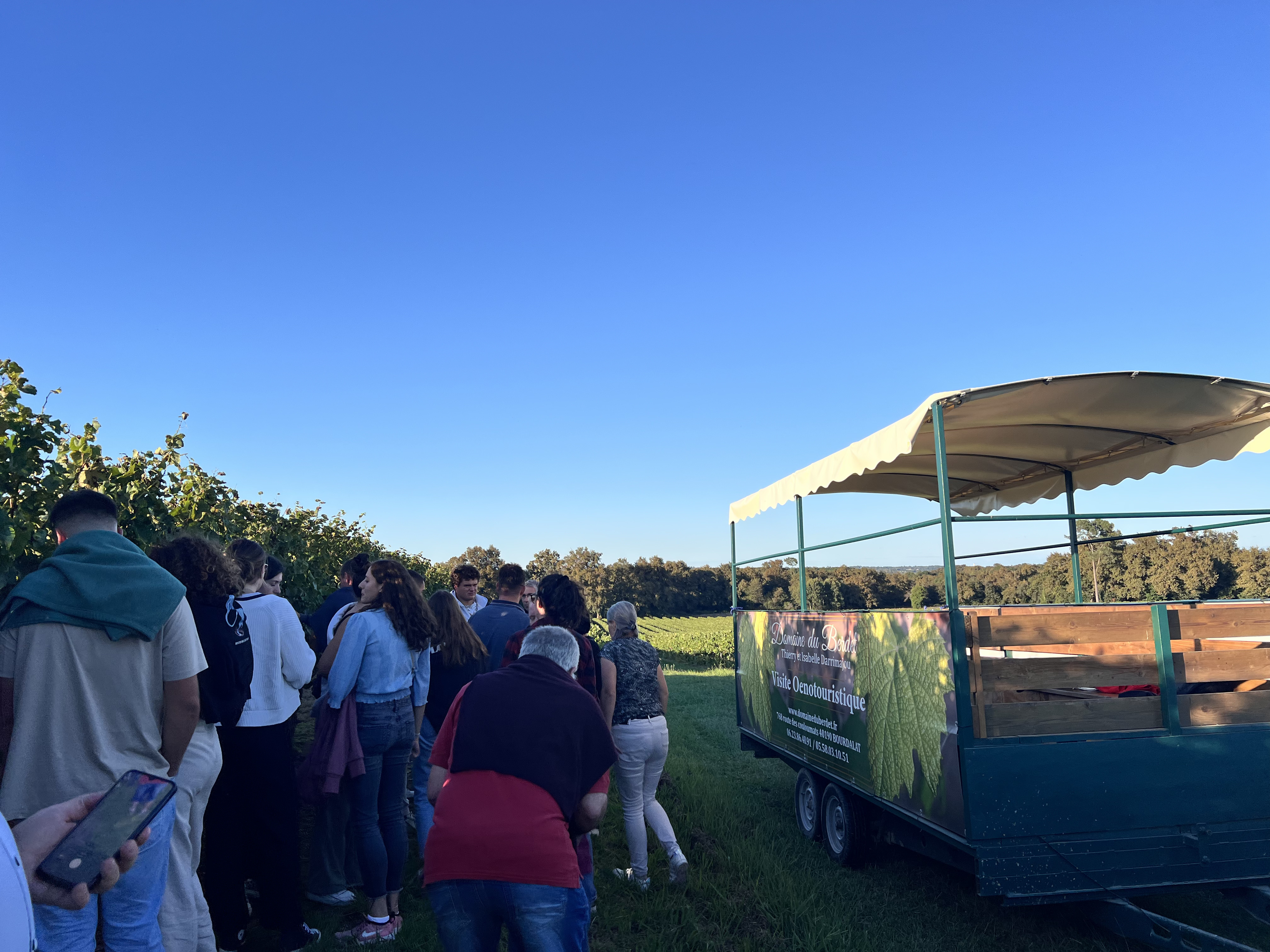Domaine du Berdet - Visite oenotouristique en remorque aménagée, Bourdalat - photo 2