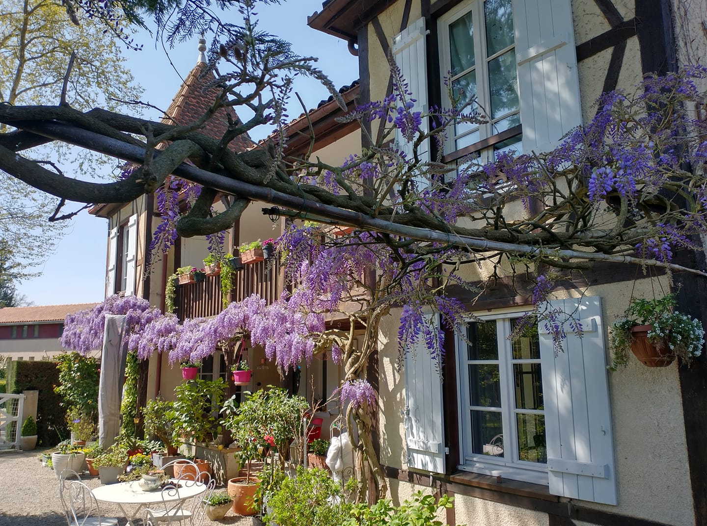 Le chalet chez Françoise, Labastide-d'Armagnac - photo 13
