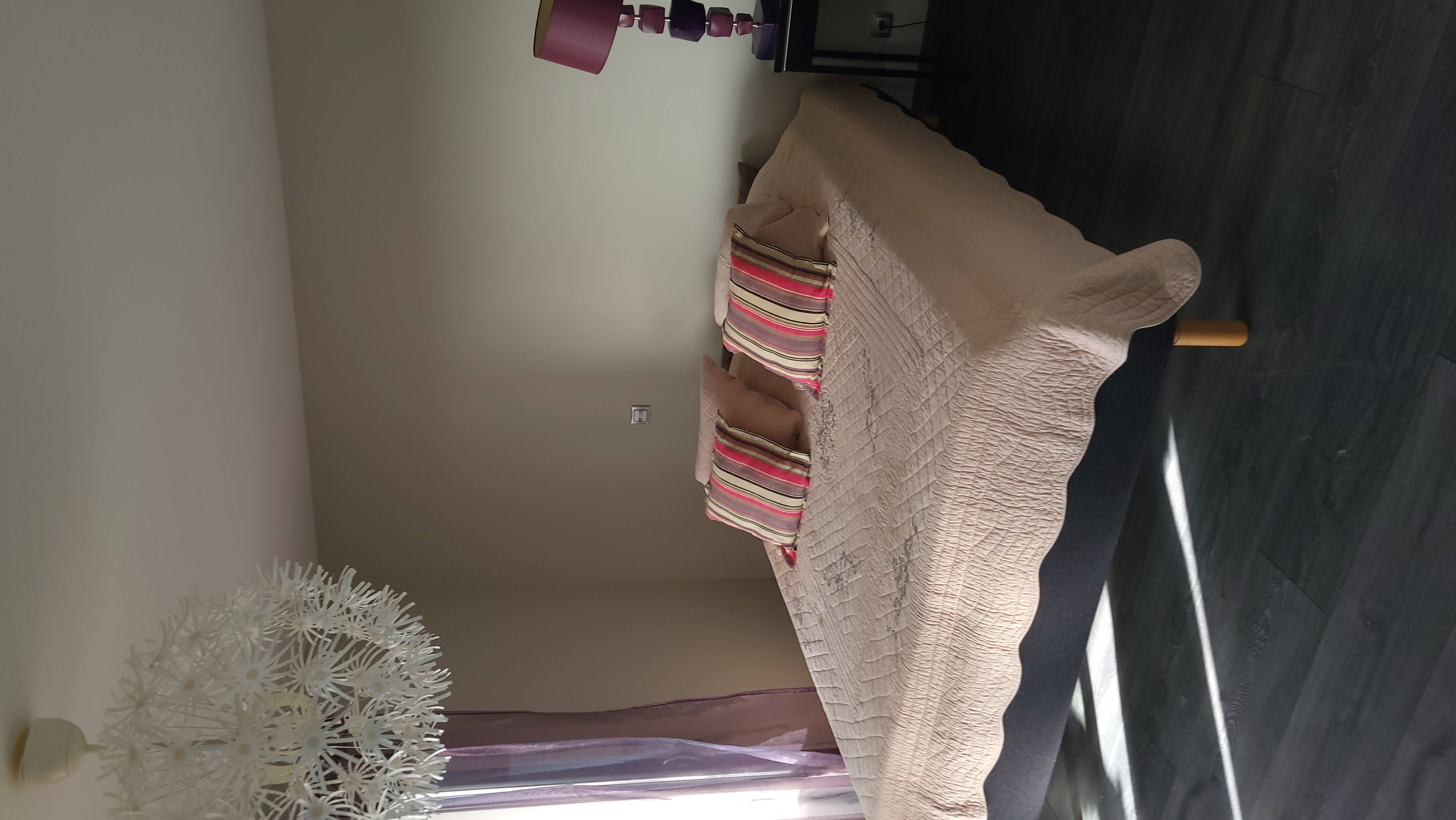 Les Cordylines - photo 5