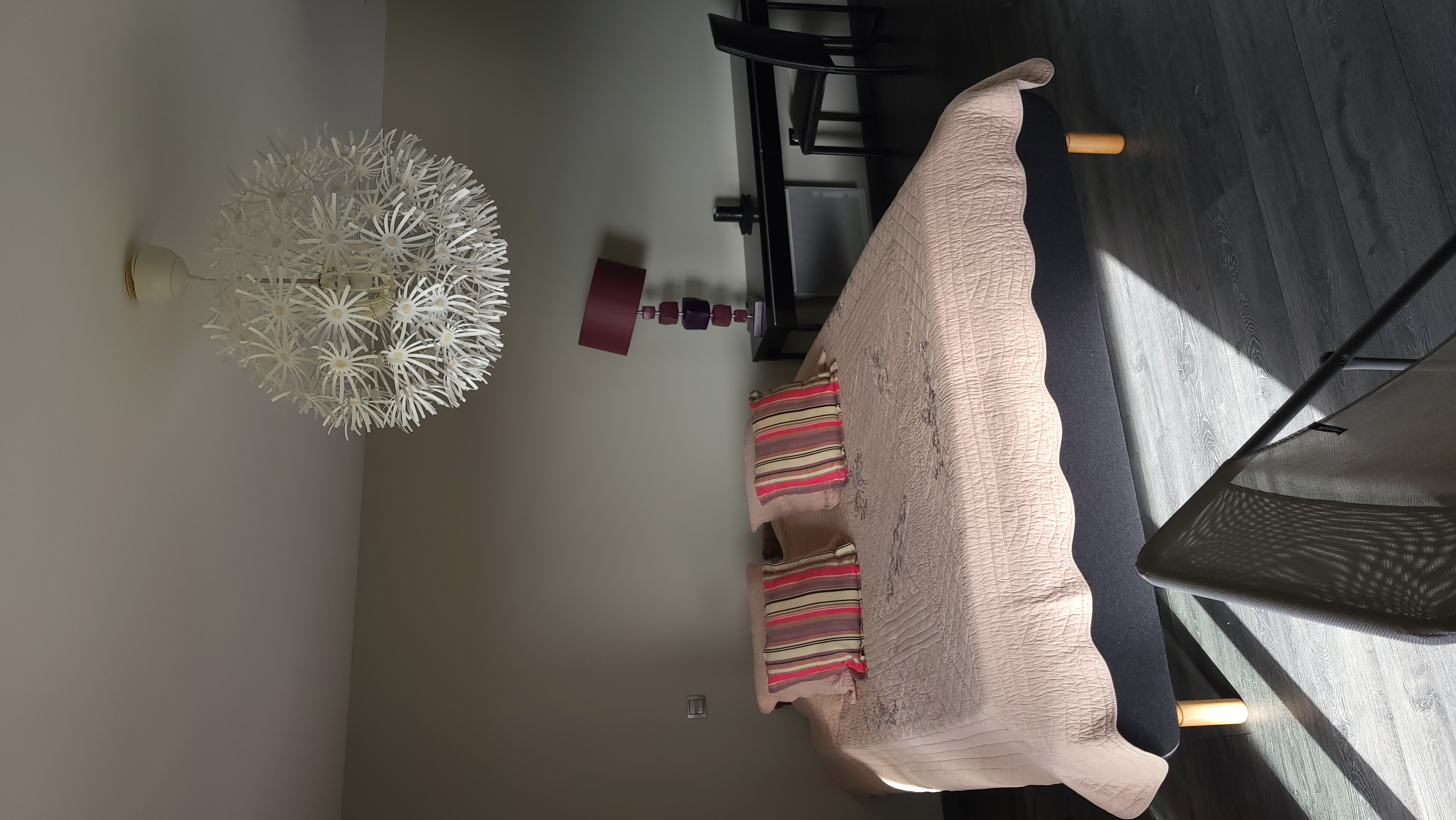 Les Cordylines - photo 3