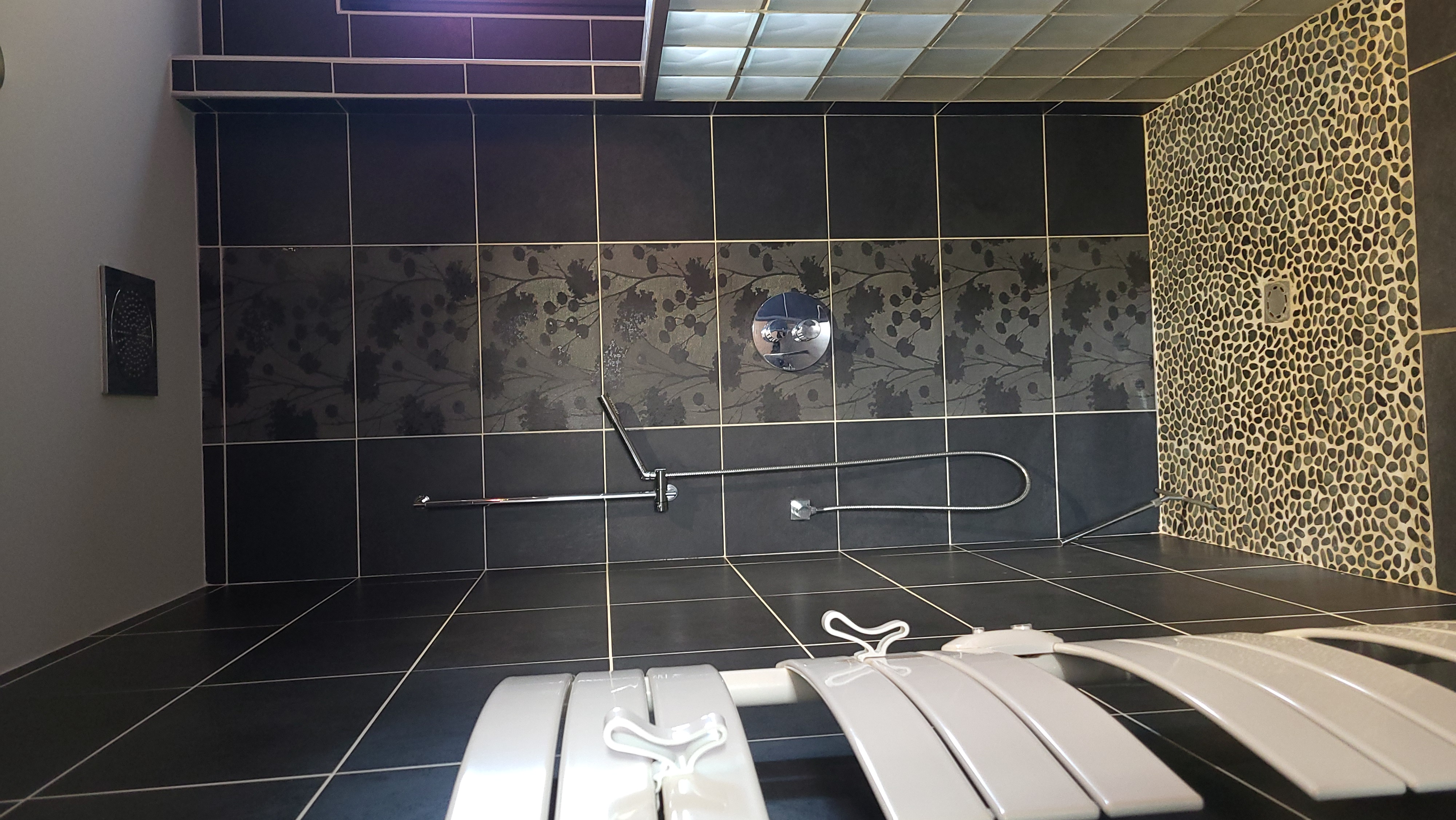 Les Cordylines - photo 2