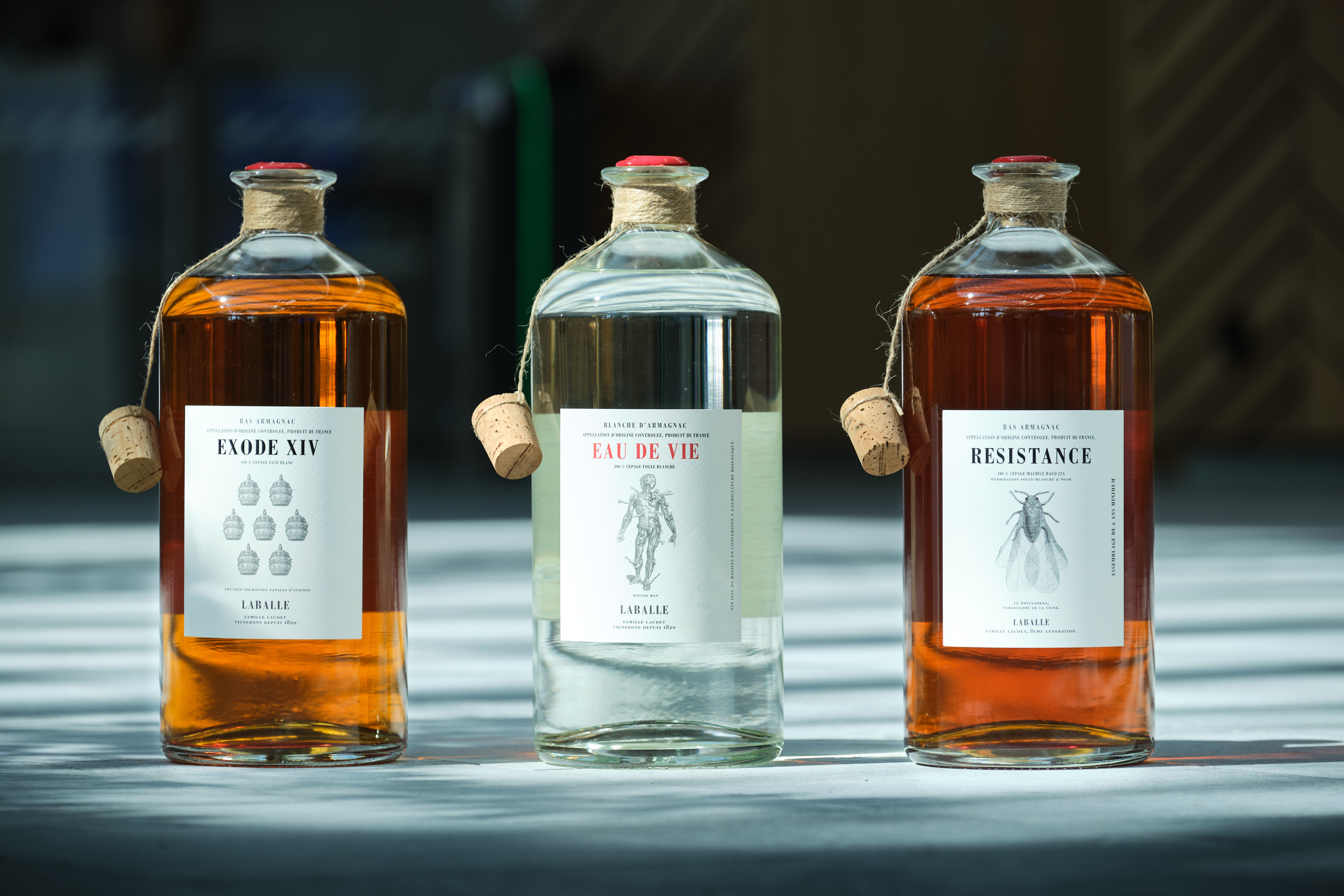 Domaine de Laballe - photo 5