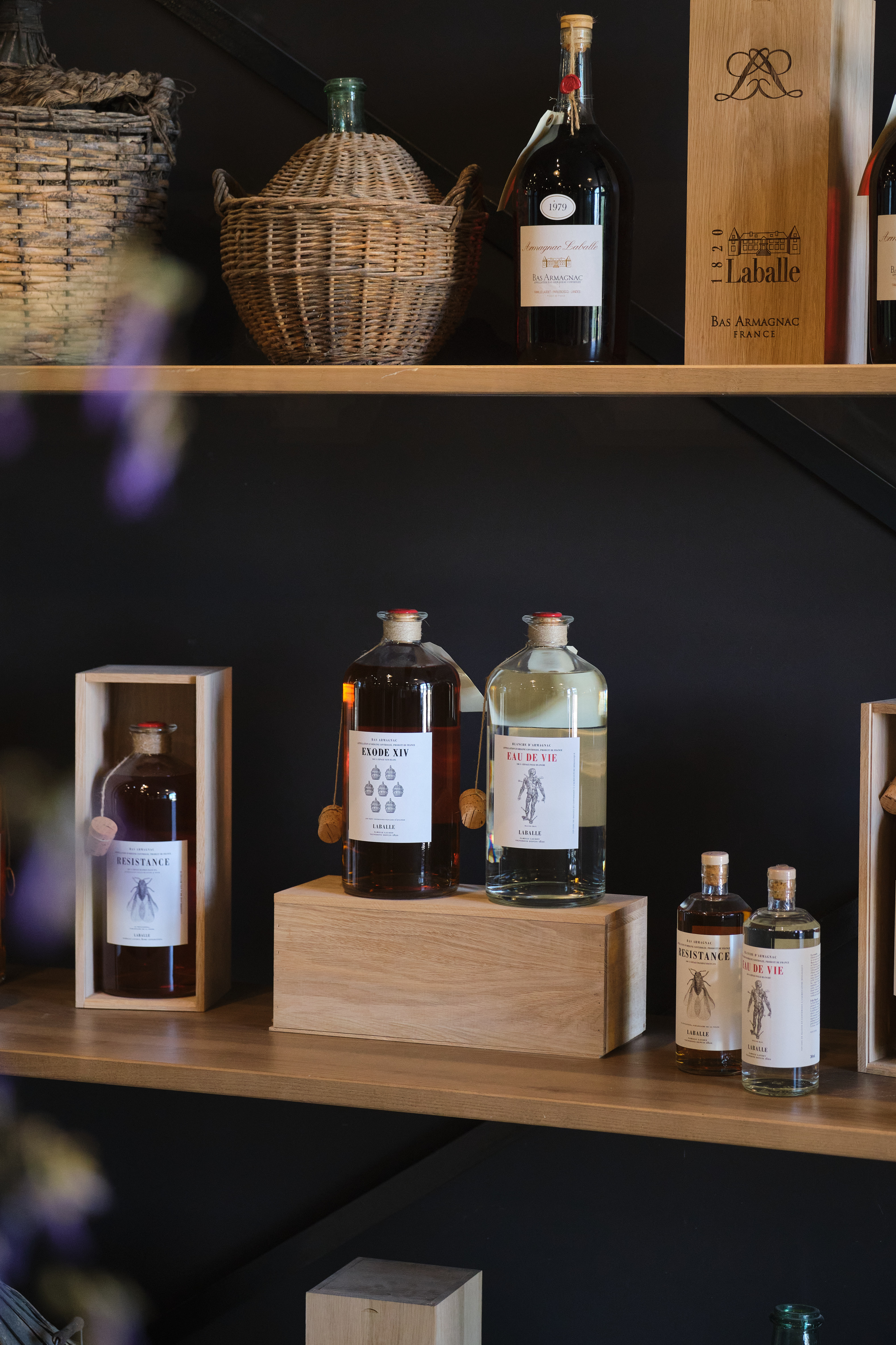 Domaine de Laballe - photo 2