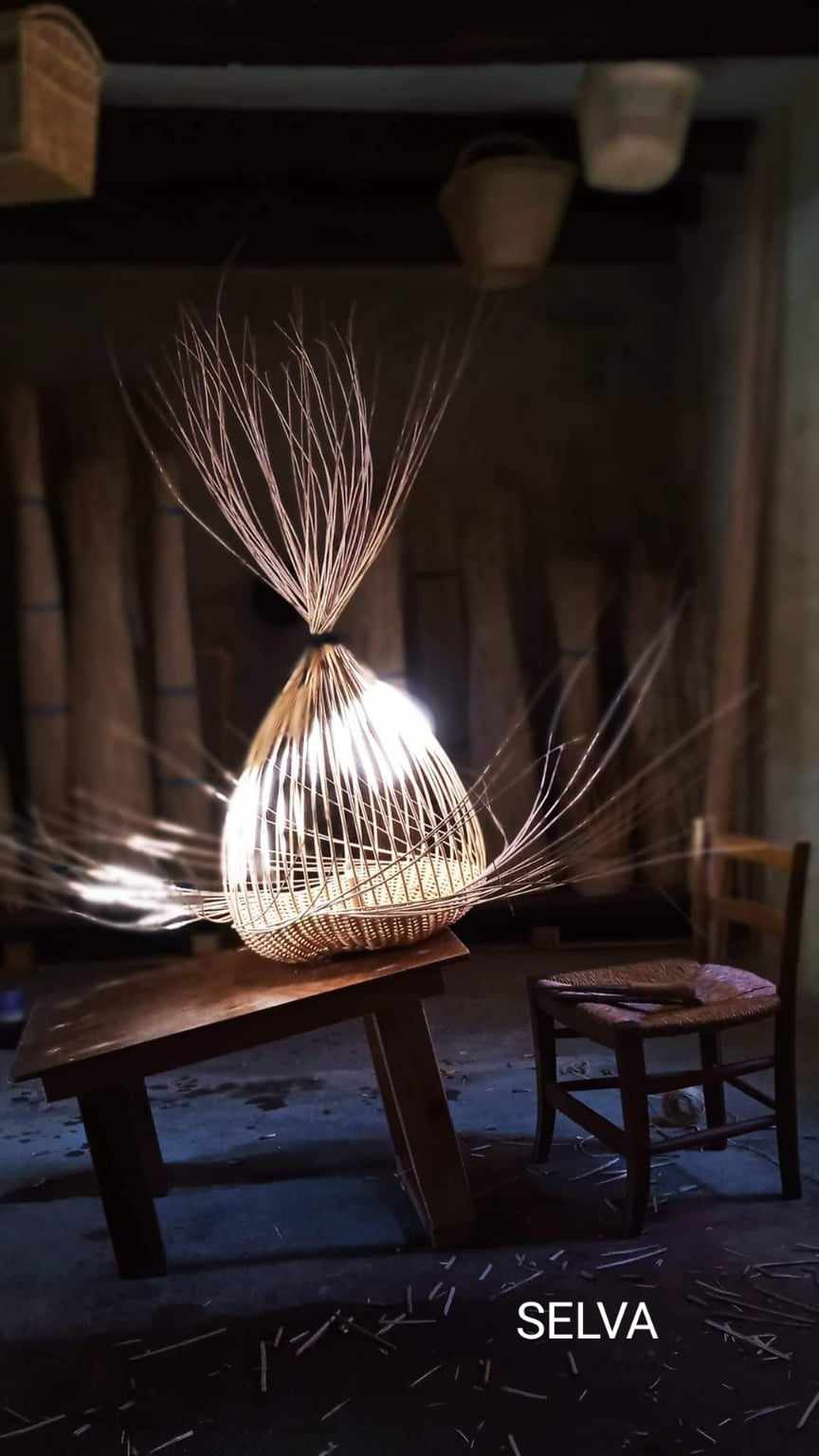 Blanchard Sylvia - Selva