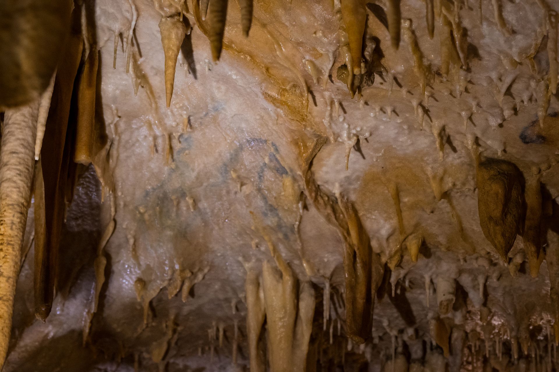 Visite de la Grotte de Villars - Scolaire