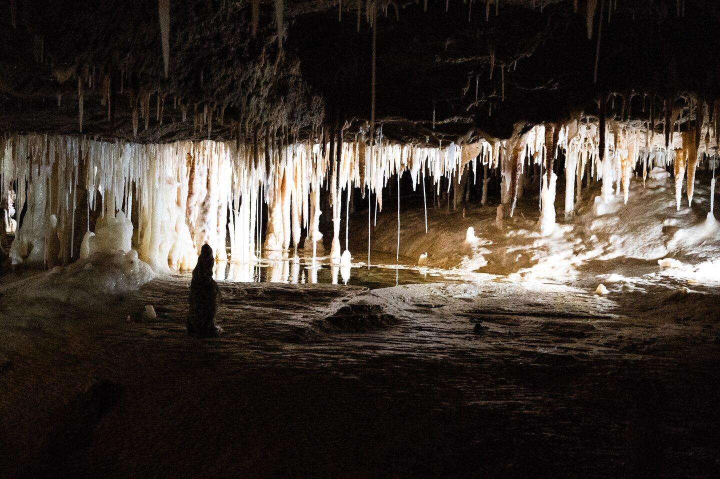 Visite de la Grotte de Tourtoirac - Scolaire