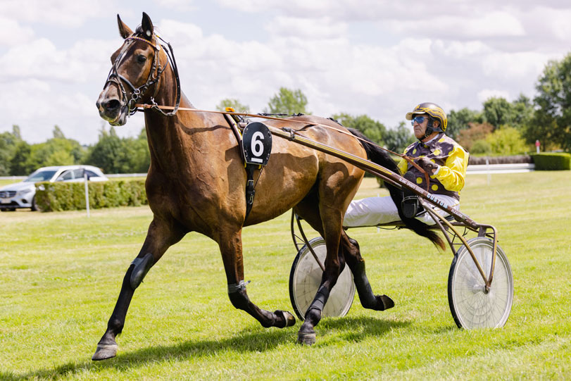 Hippodrome de la Roche-Posay, La Roche-Posay - photo 10