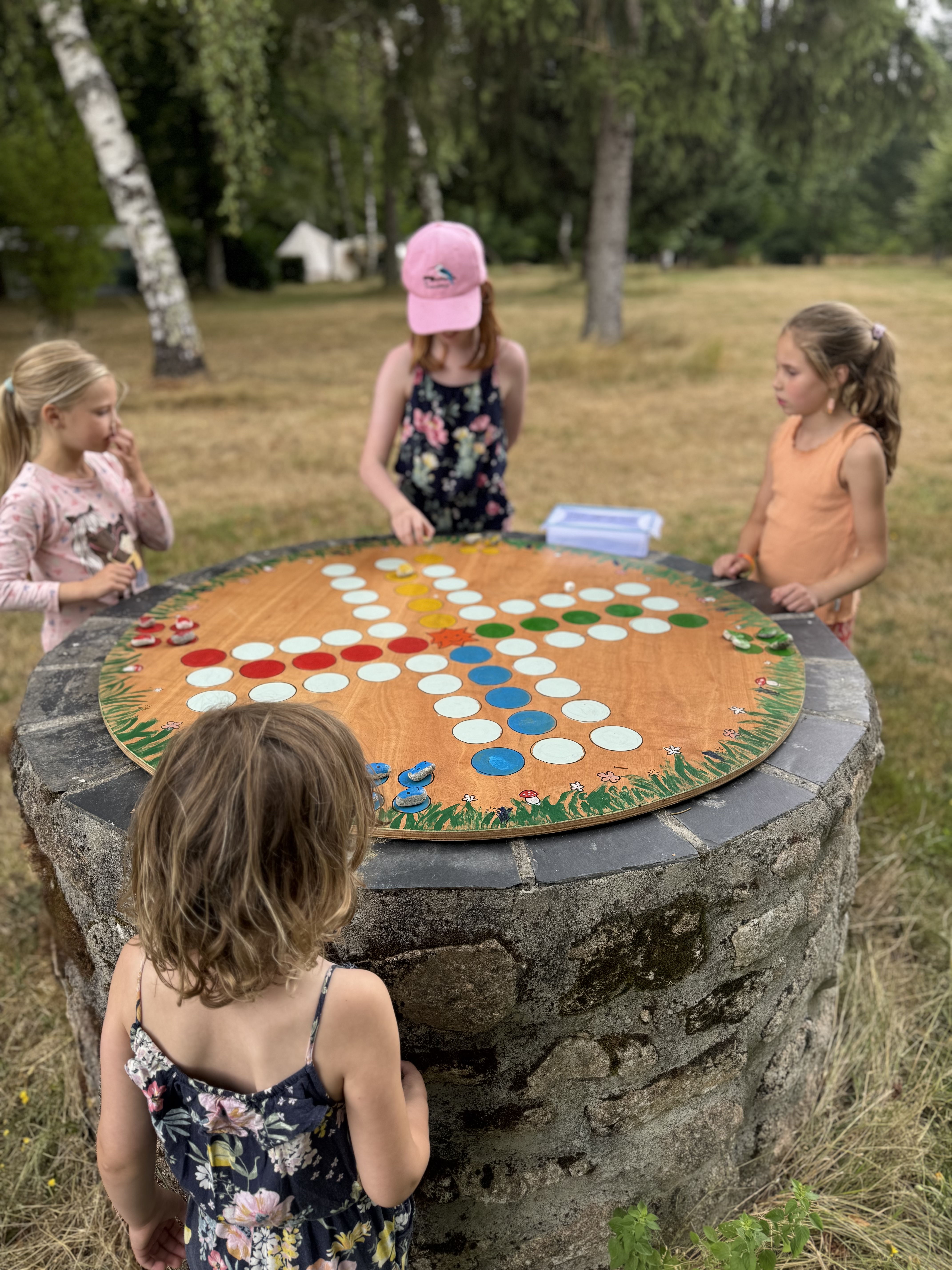 Domaine de Lallé - photo 4