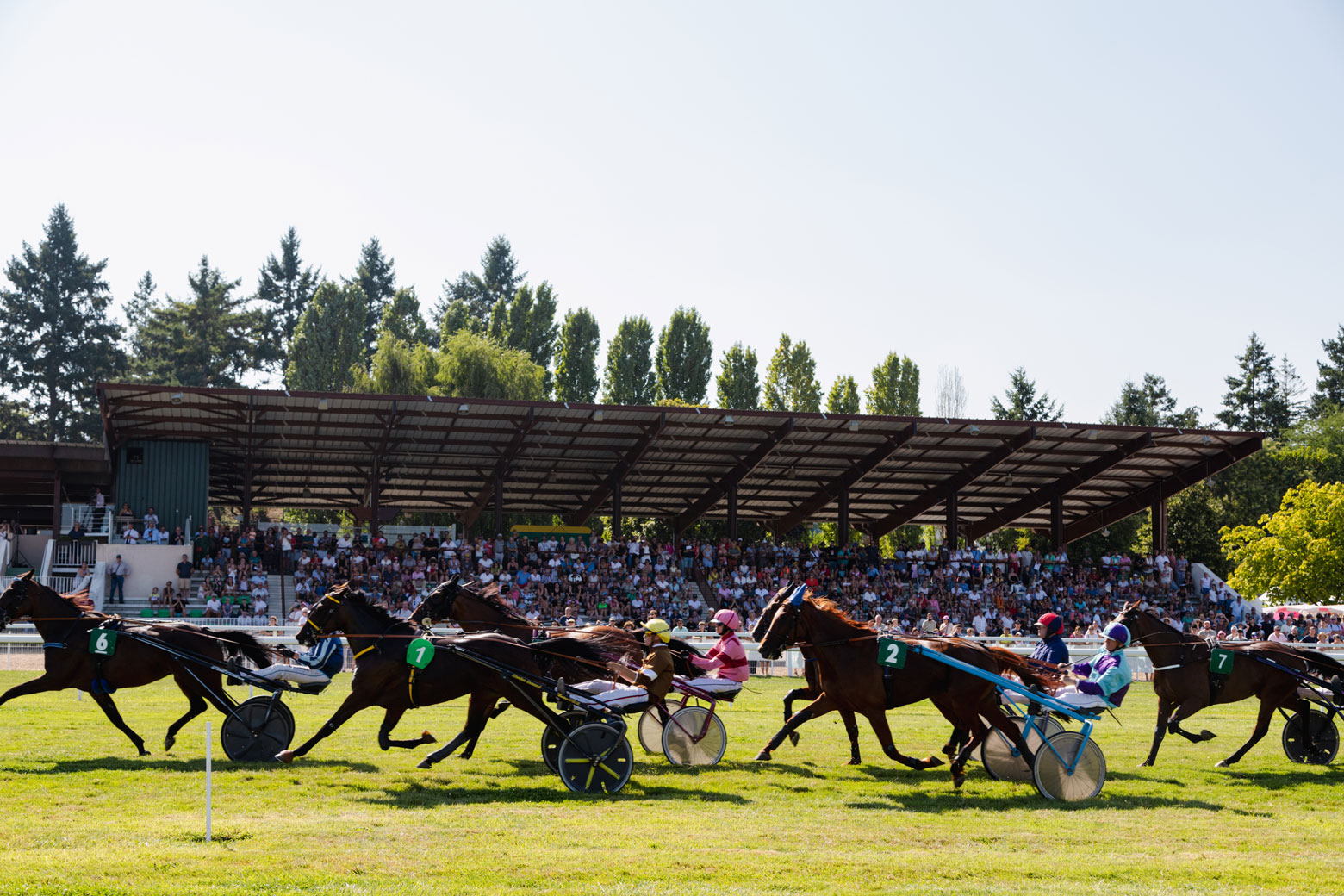 Hippodrome de la Roche-Posay, La Roche-Posay - photo 7