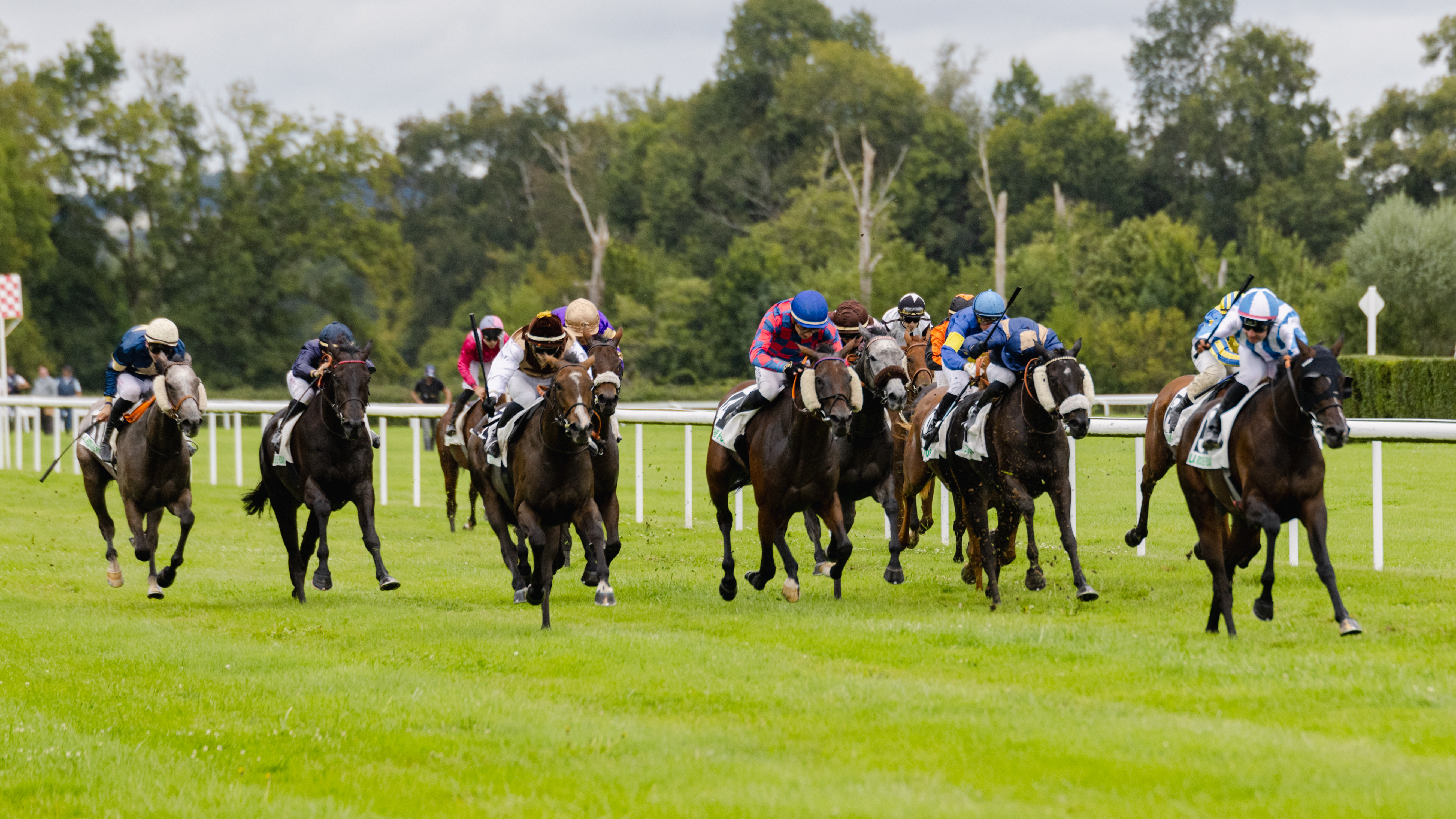 Courses Trot/Obstacle — visuel événement