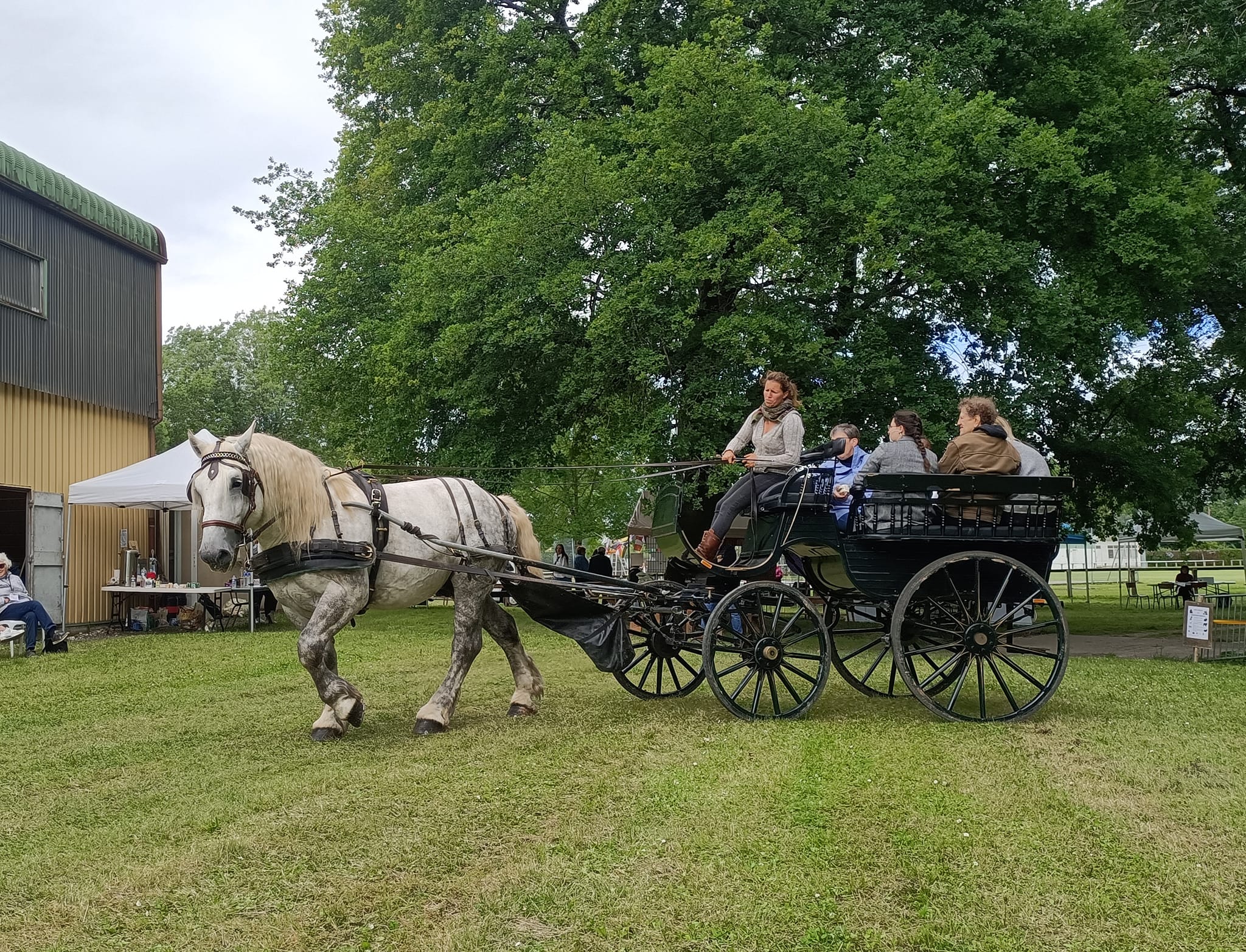 Attelage et Nature, Vendoire - photo 3