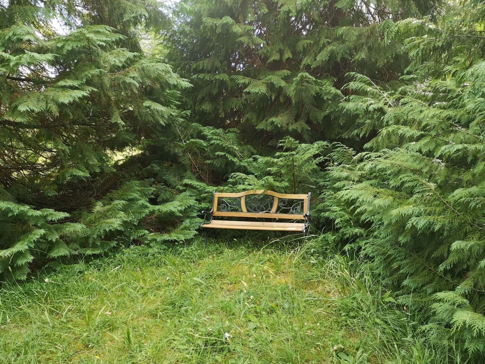 Chambres d'hôtes La Montagne Sud, Allemans - photo 3