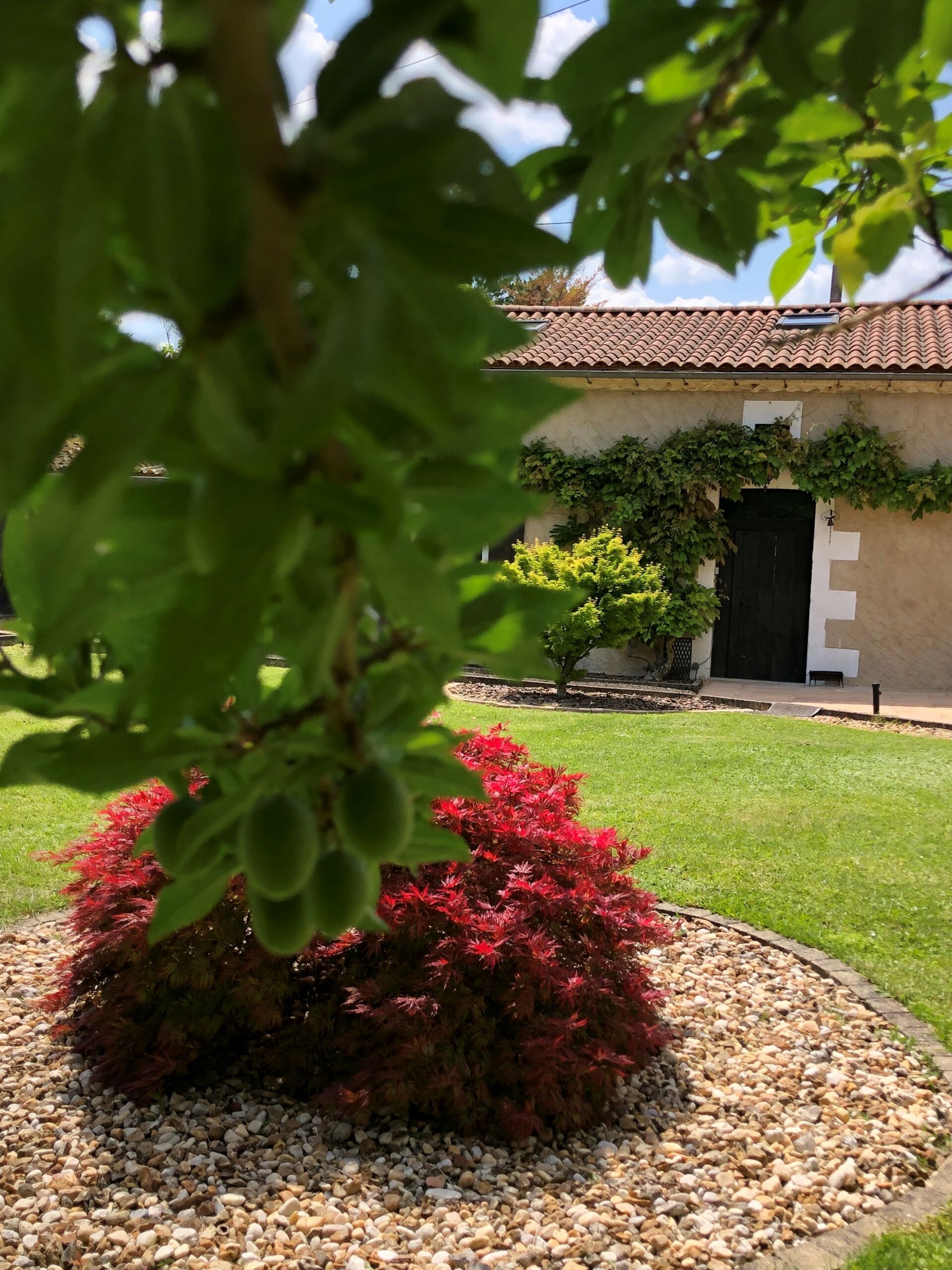 Gîte Il Glicine, Chassaignes - photo 5