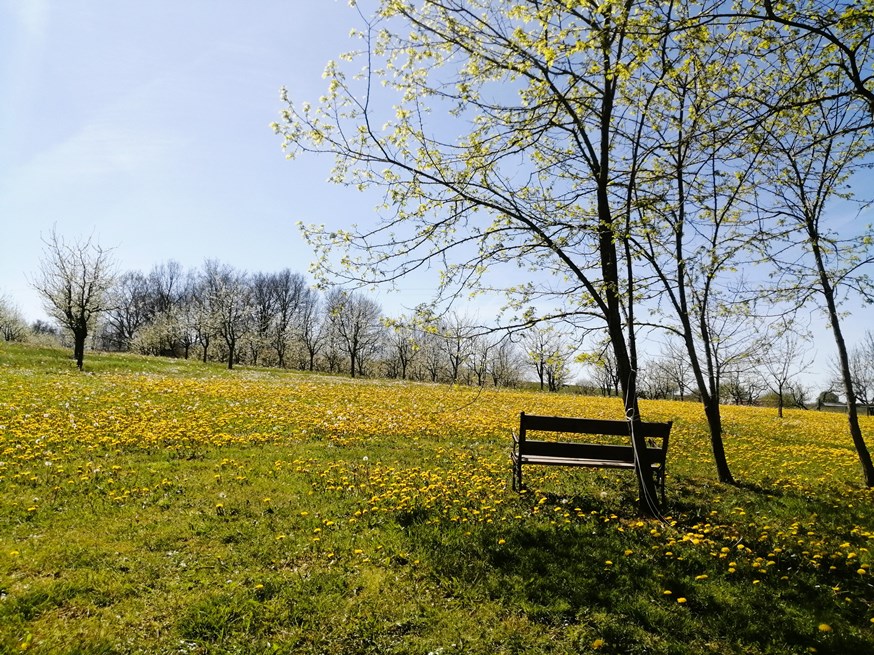 Le Hameau de Galice - Gîte Grand Galice - photo 4
